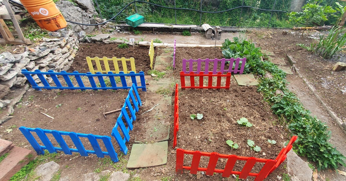 Deixamos um pouco a terra em poisio para em abril cultivar novamente.