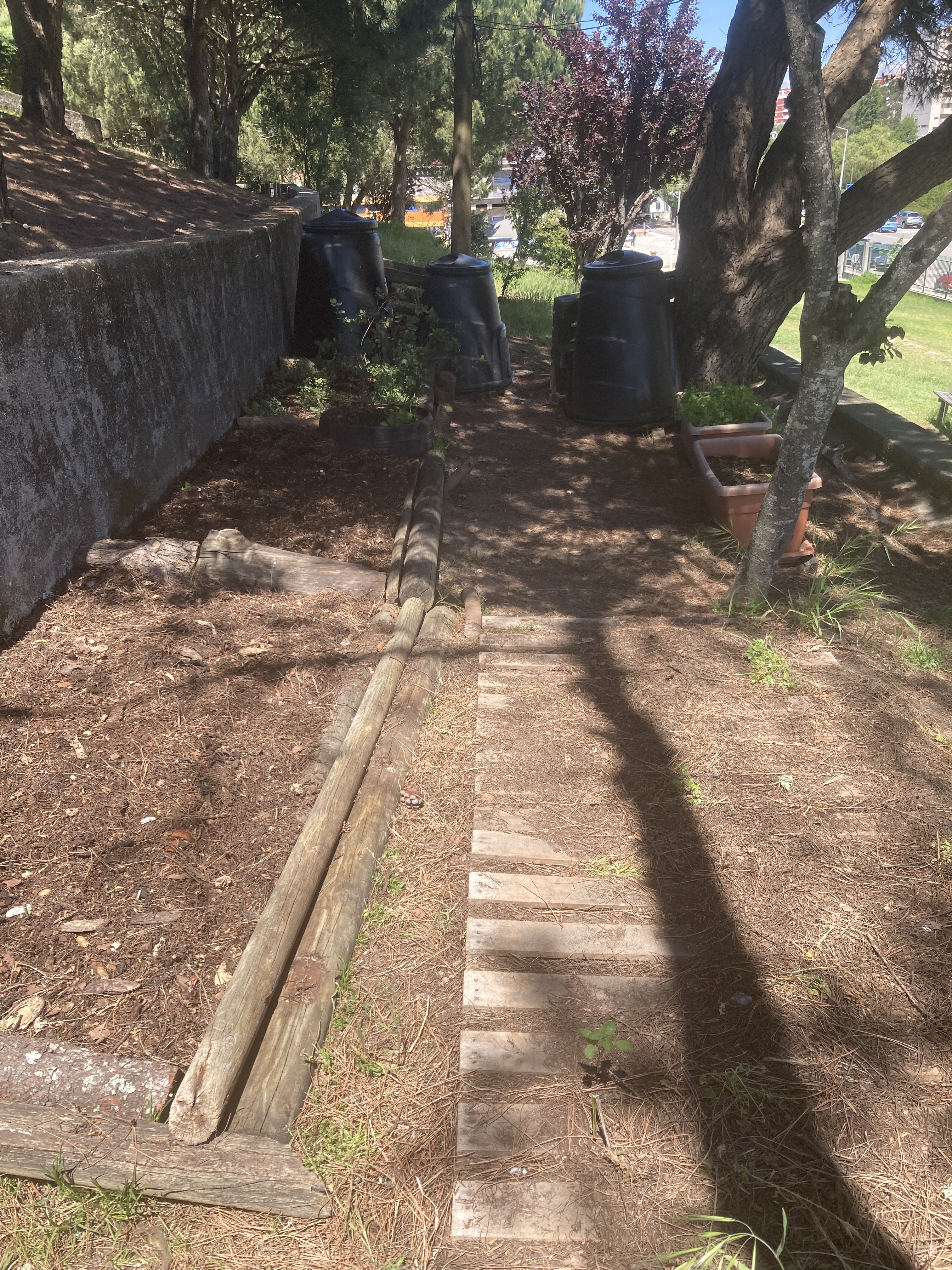 Vista geral da horta com diferentes canteiros de cultivo e áreas de plantio.