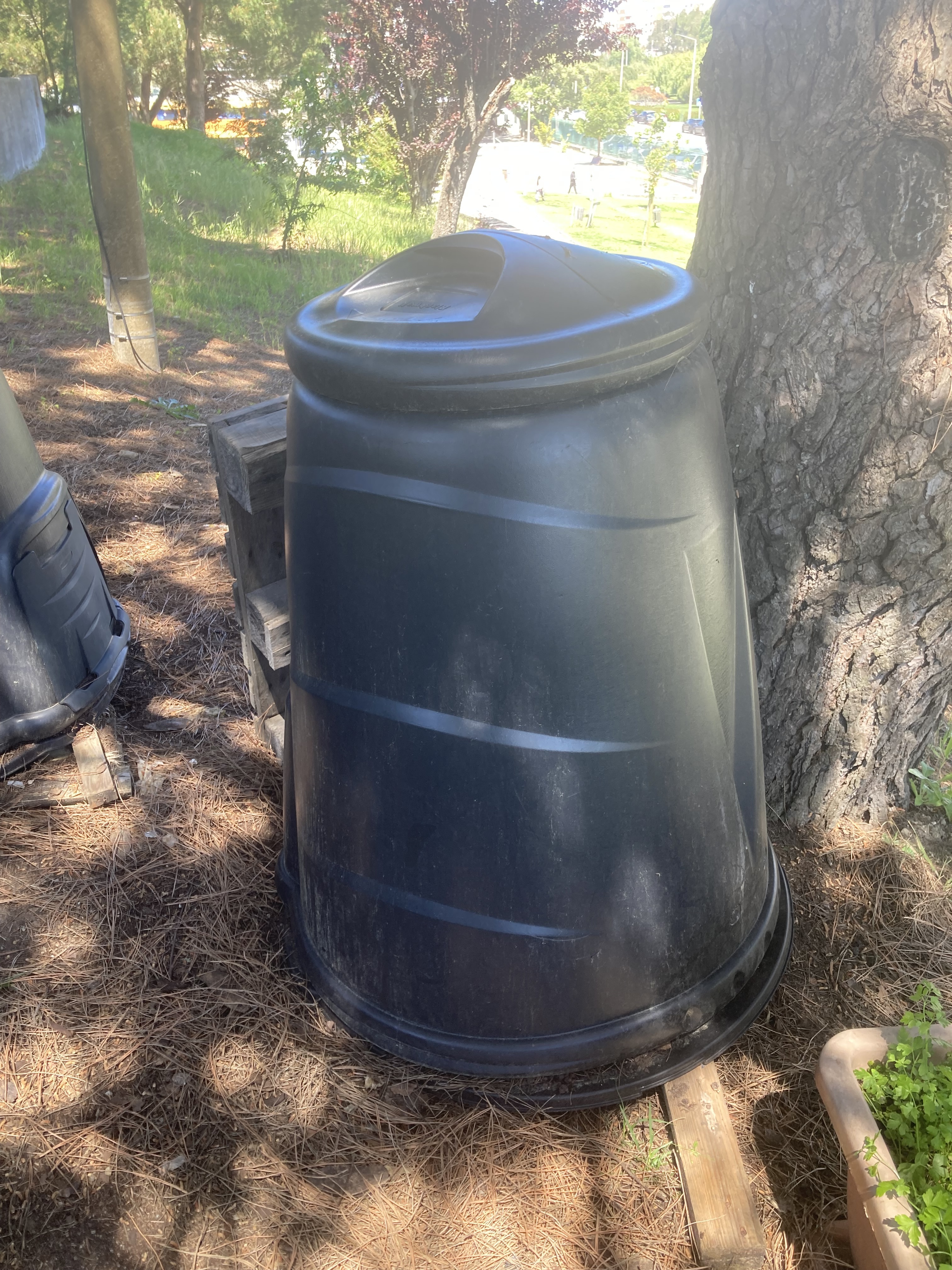 Depósito de compostagem — local onde resíduos orgânicos são decompostos e transformados em adubo natural (composto).