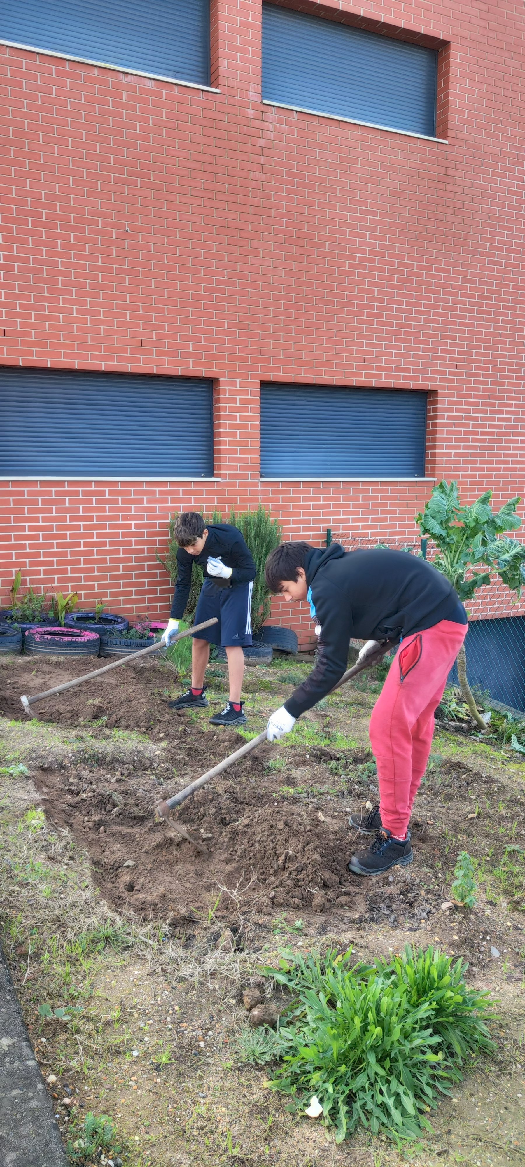 Continuação da preparação do terreno para iniciar o processo de construção de pequenos socalcos.