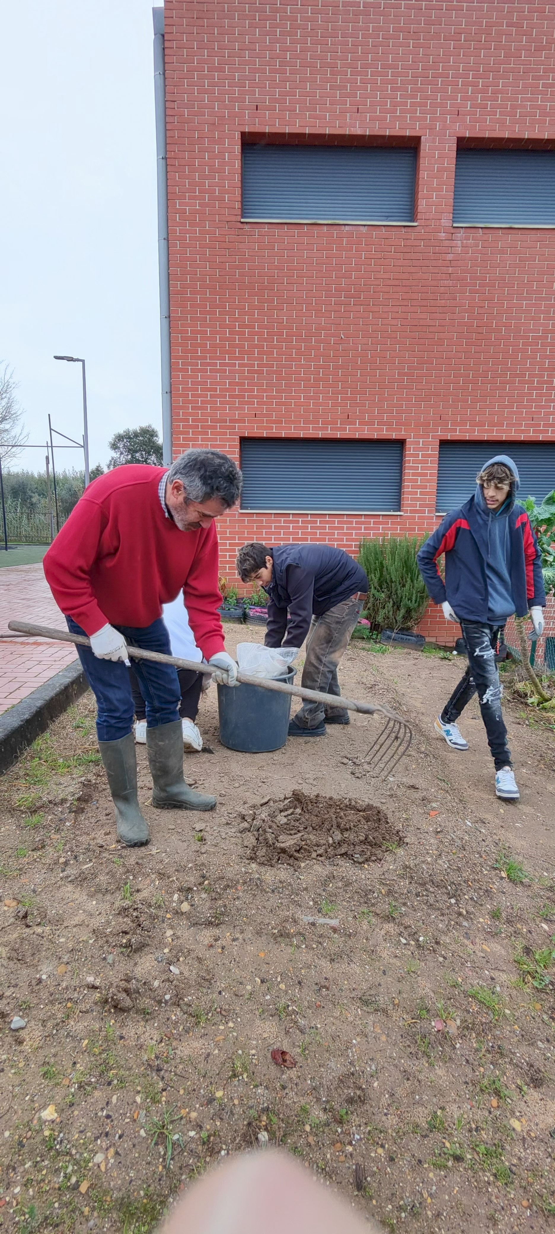 Início dos preparativos do terreno, depois de removidas culturas antigas.