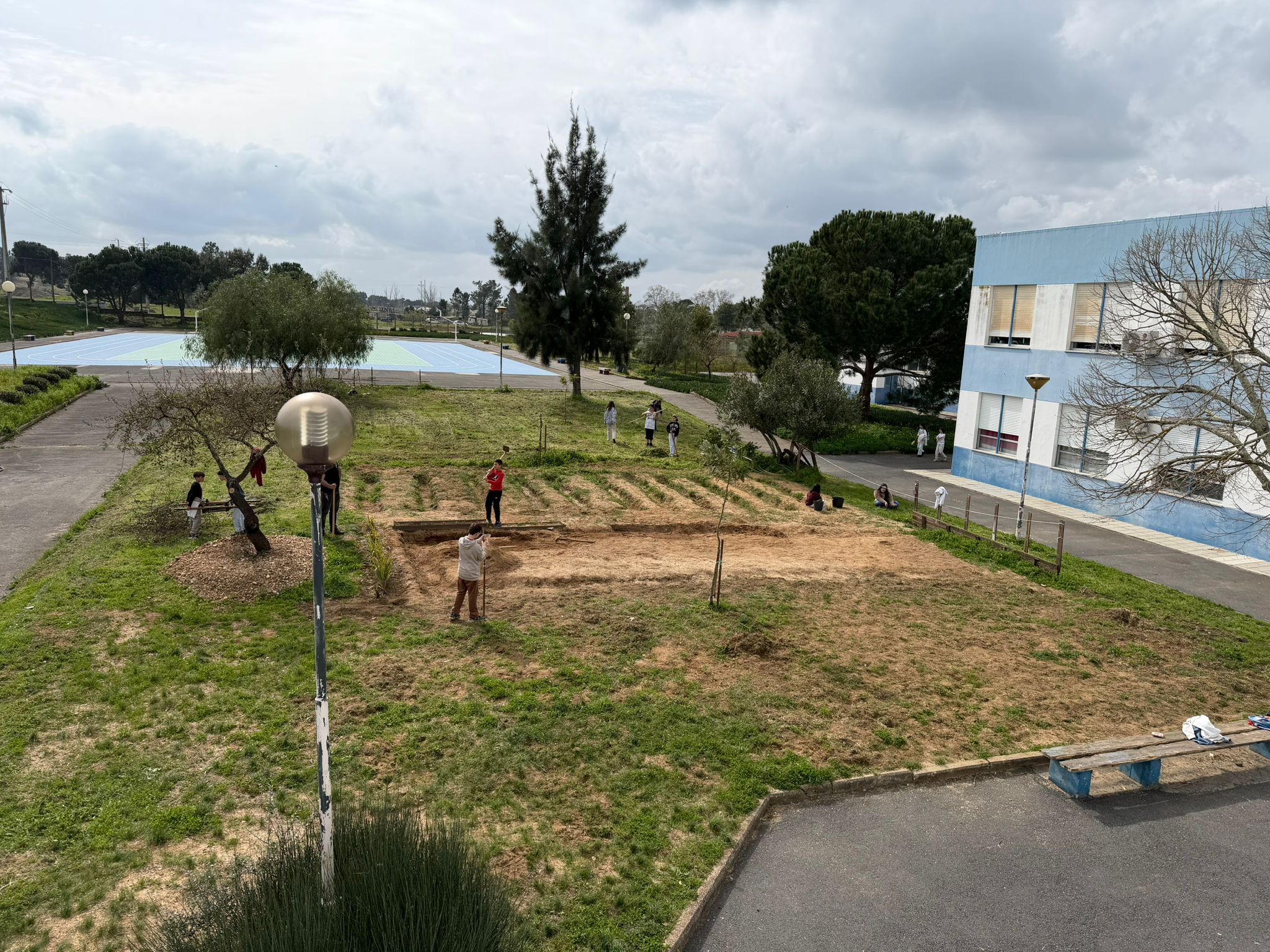 Preparação da terra