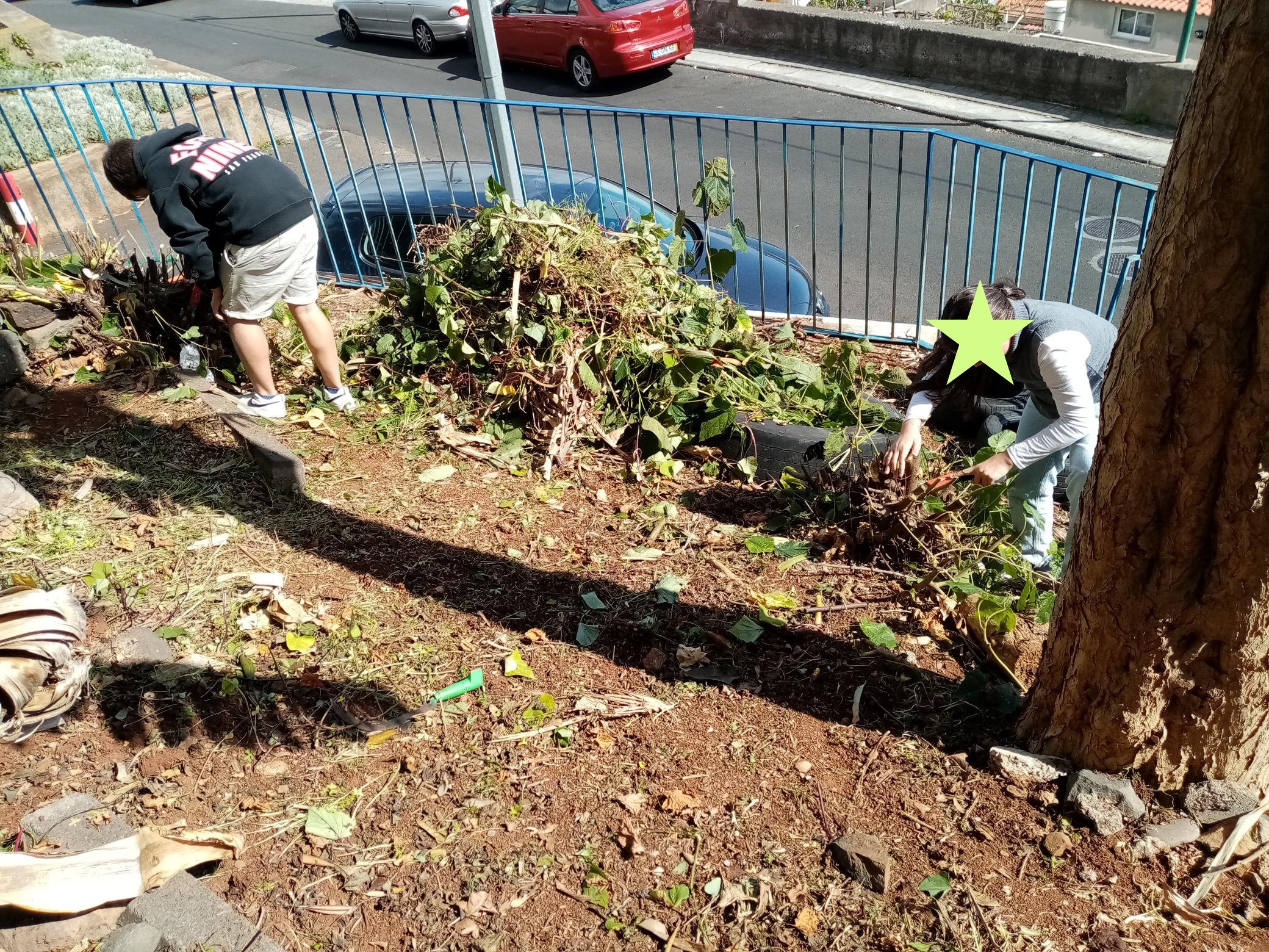 Preparação da área envolvente