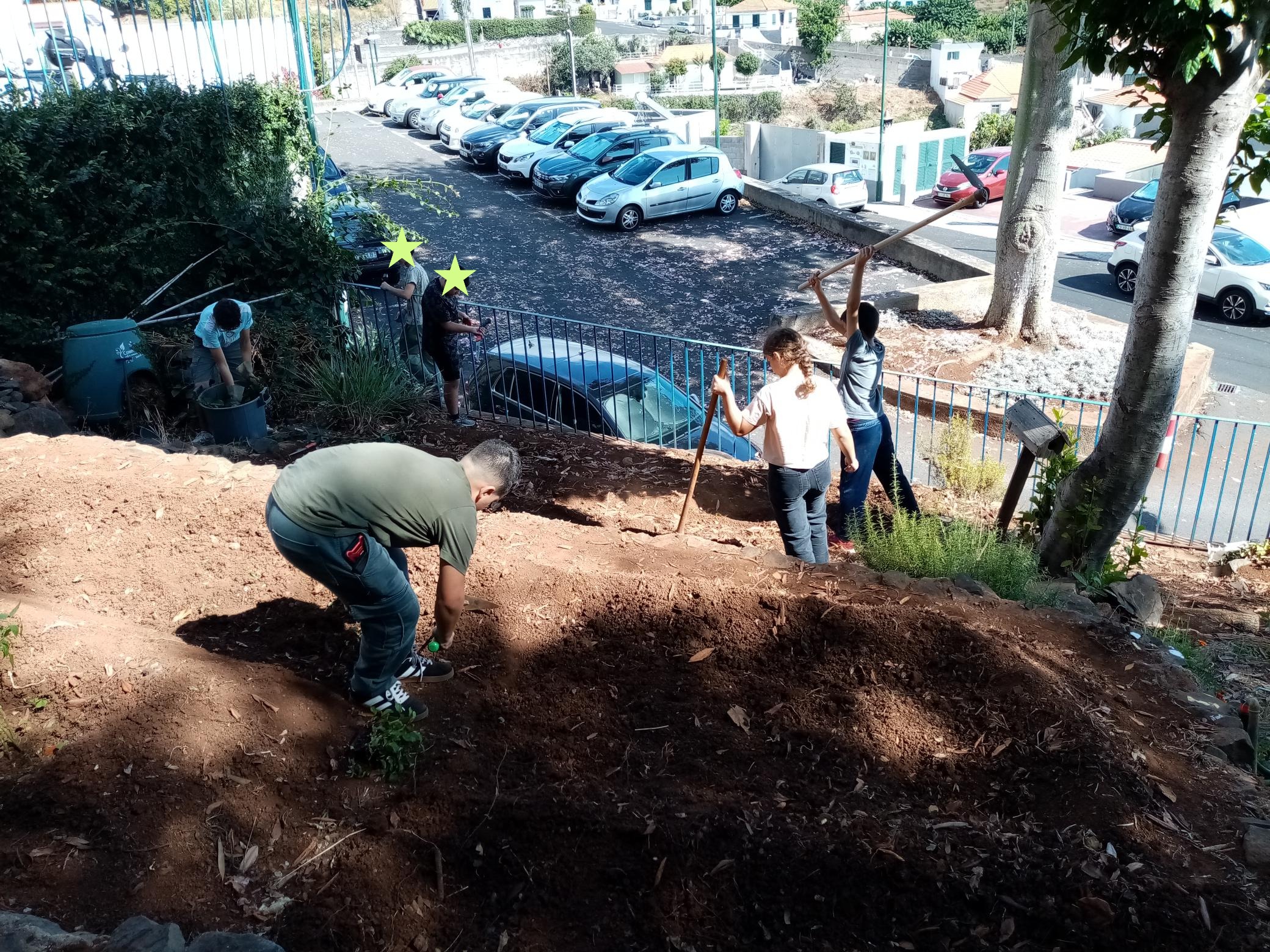 Preparação do terreno.