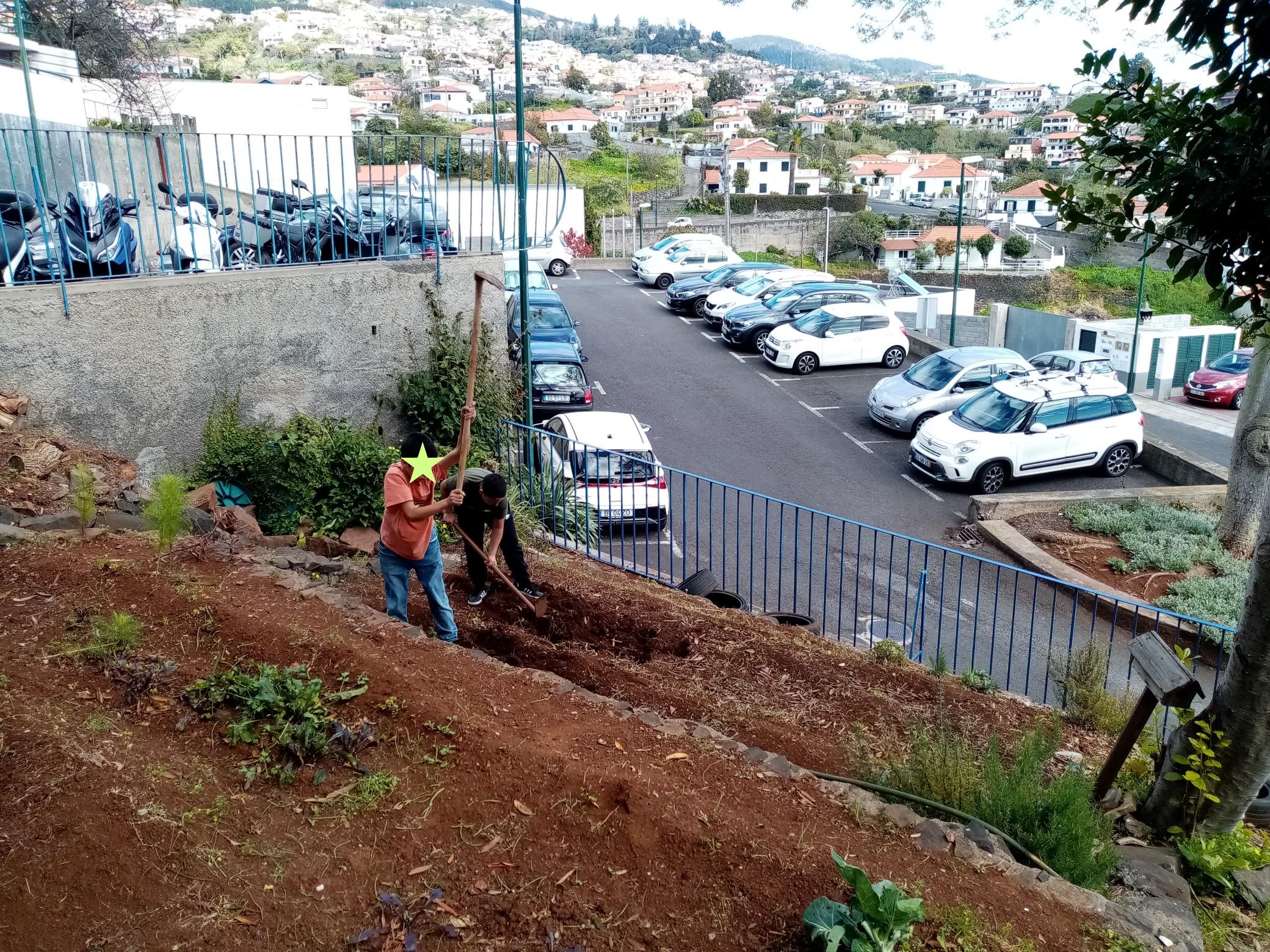 Preparação do terreno.