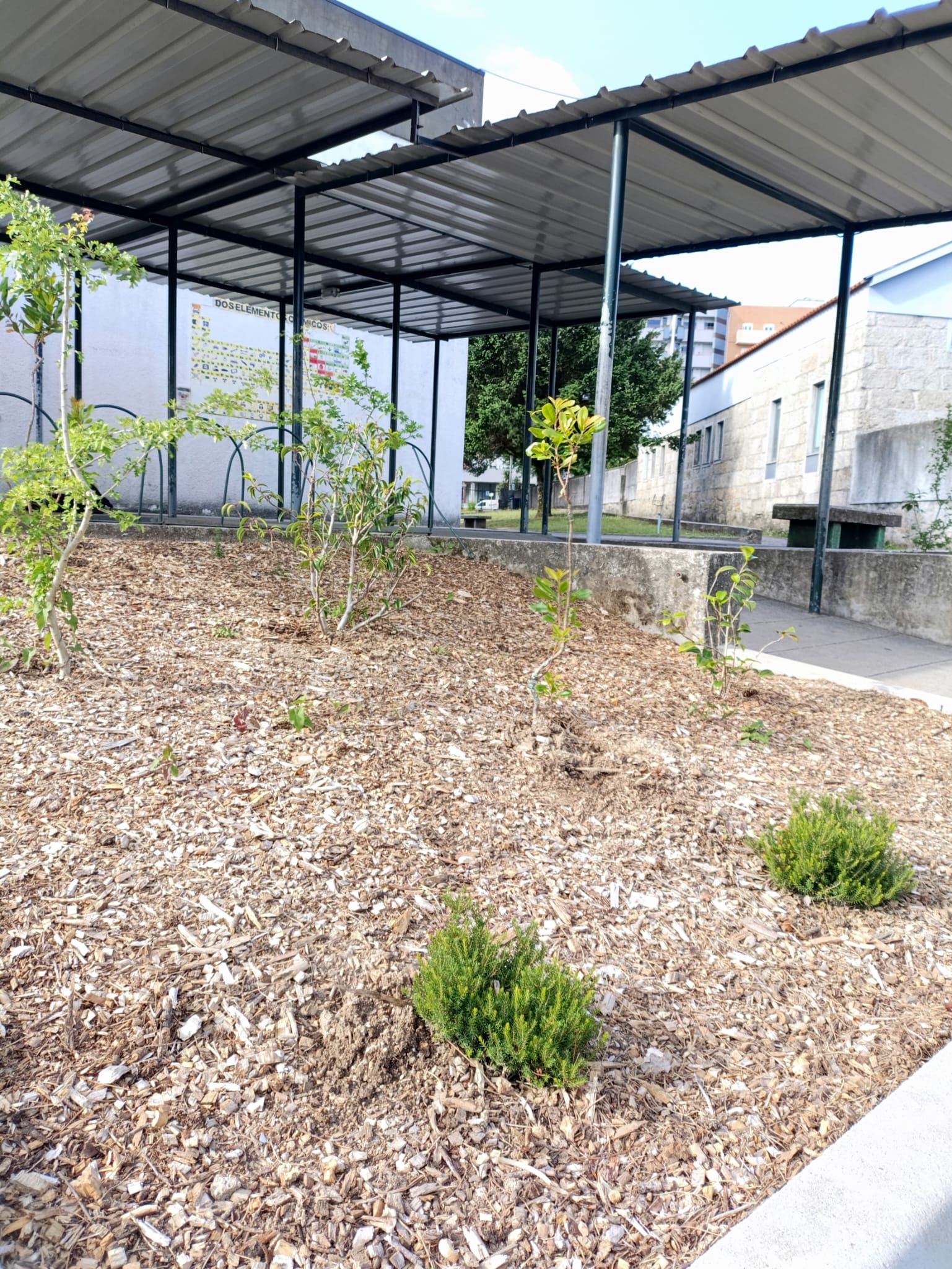 Requalificação dos canteiros anexos à horta - Plantas autóctones.