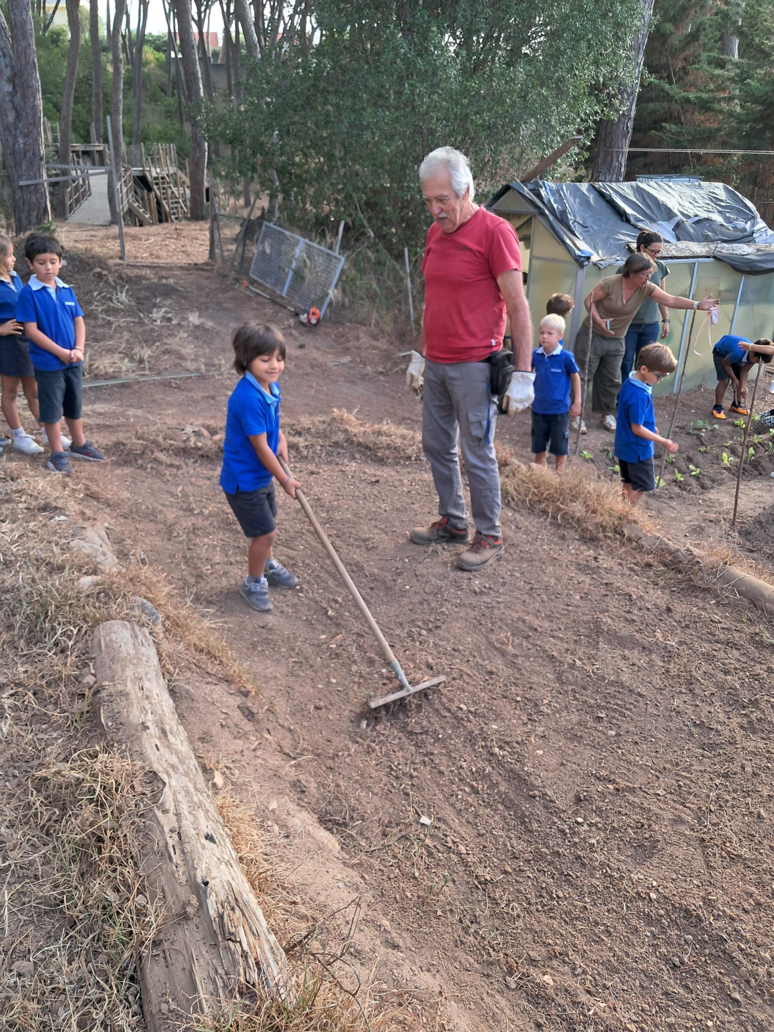 Preparação do terreno para a plantação de outono (outubro 2025)