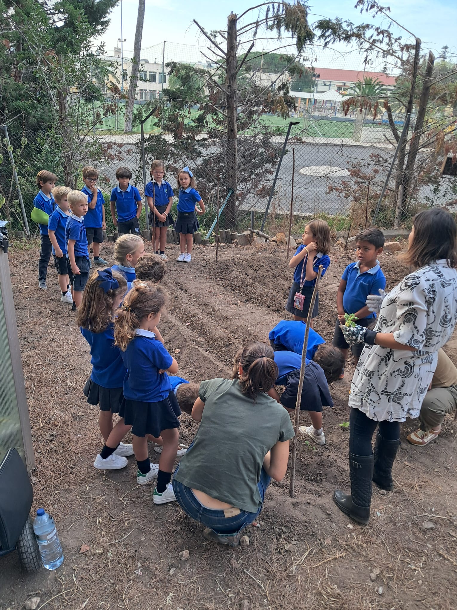 Plantação de outono - 16.10.2025