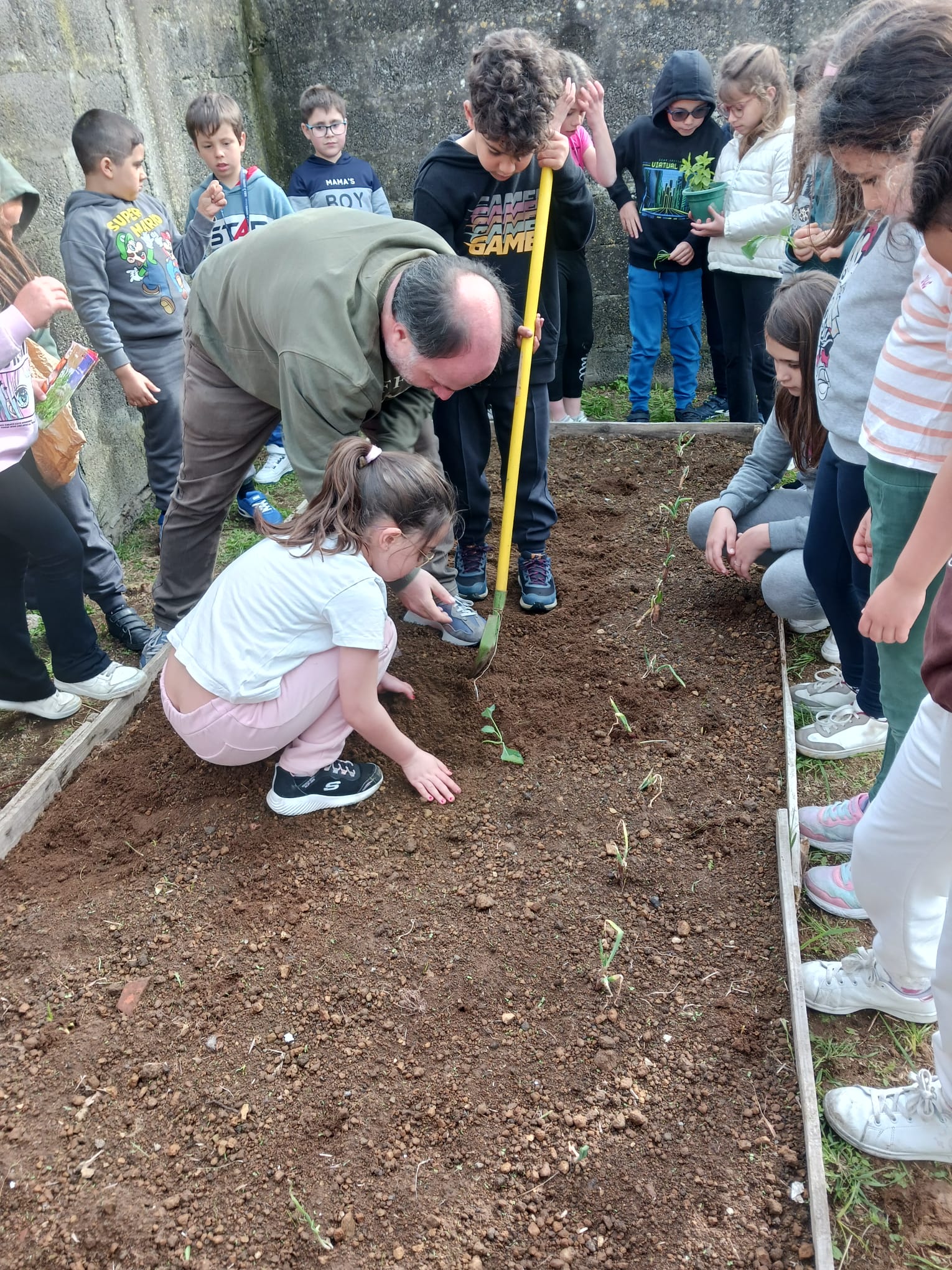Plantação de horta biologica