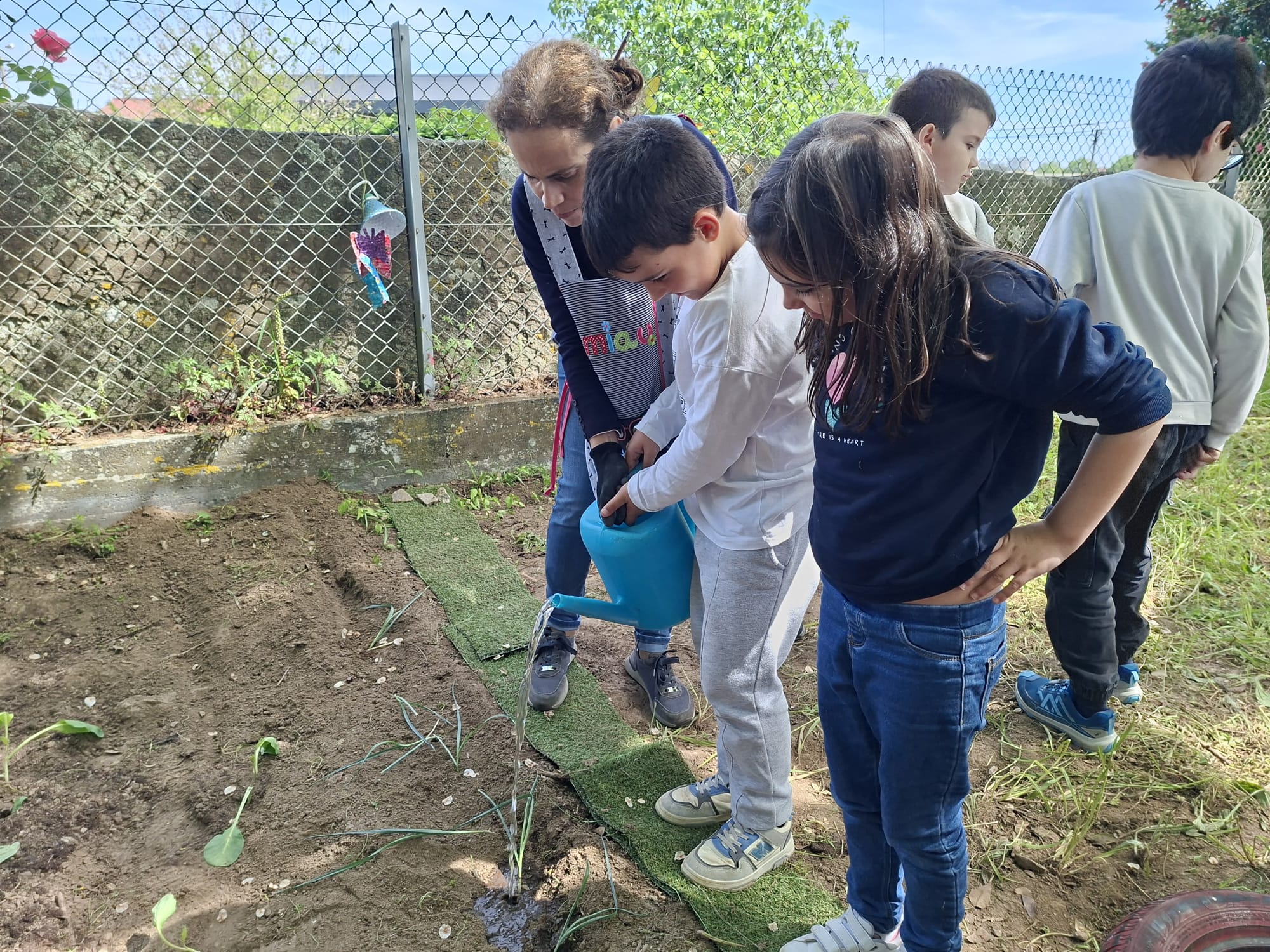 Regar as plantações