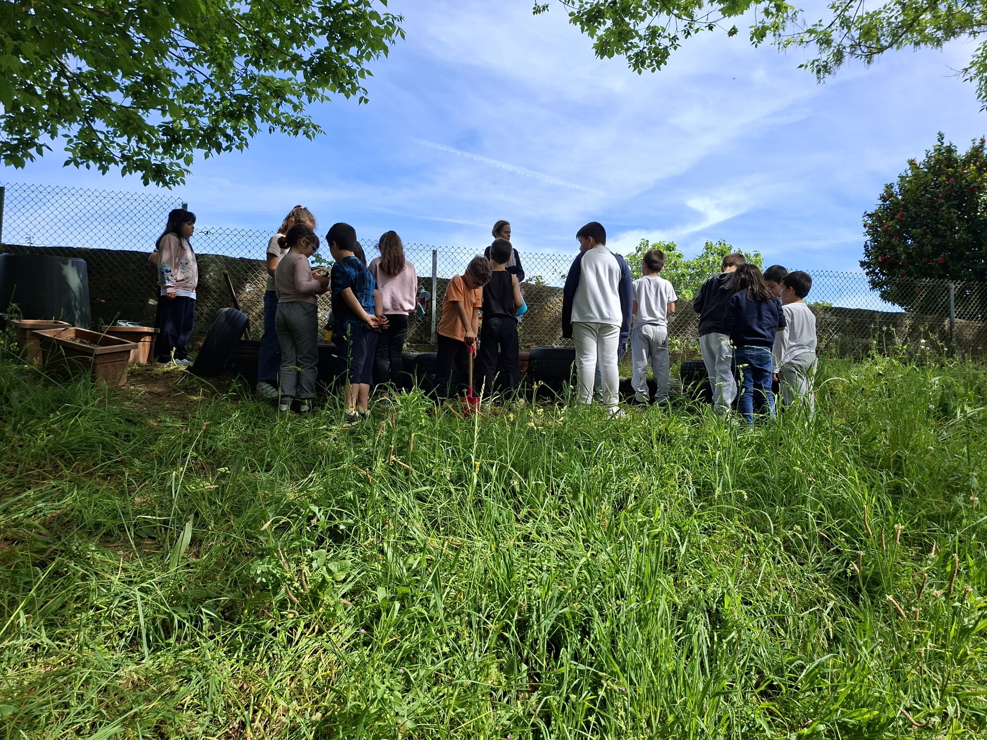 Envolvimentos dos alunos da turma