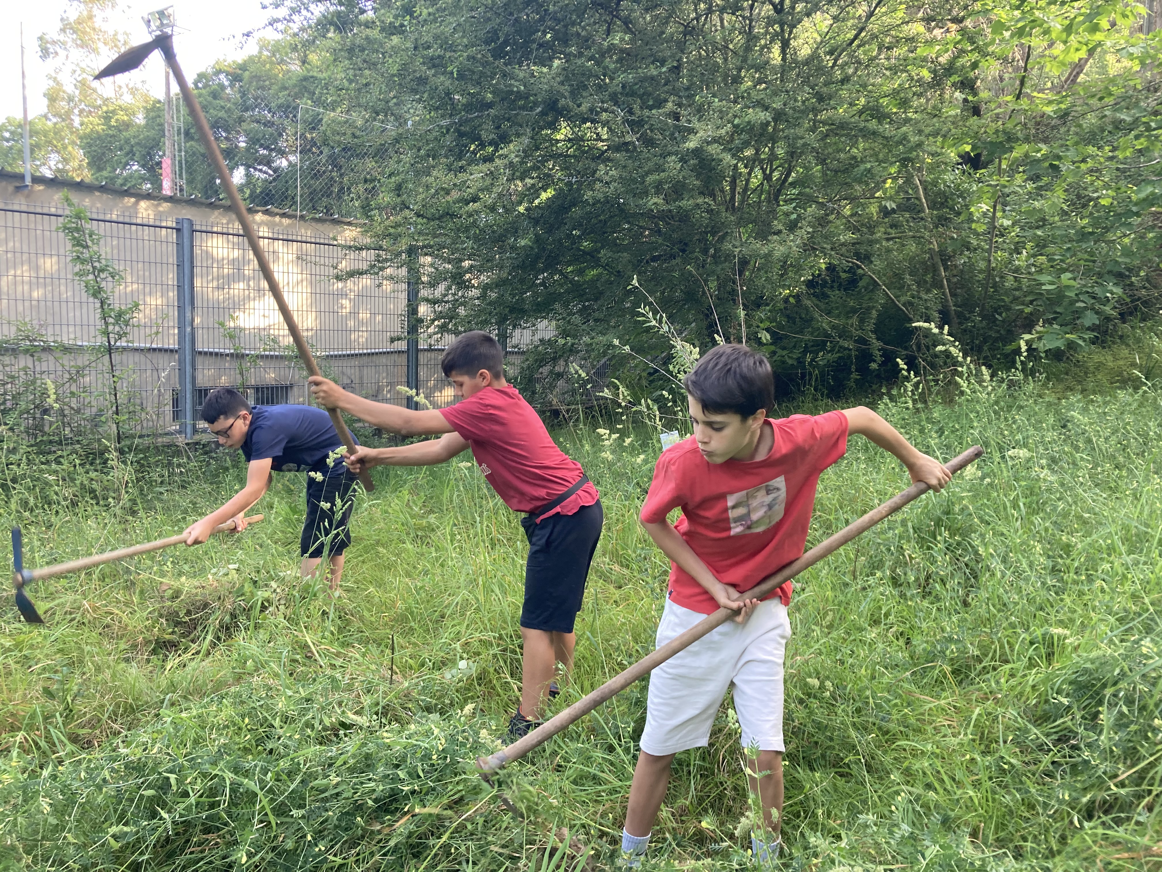 Limpeza do terreno junto à horta por um grupo de alunos