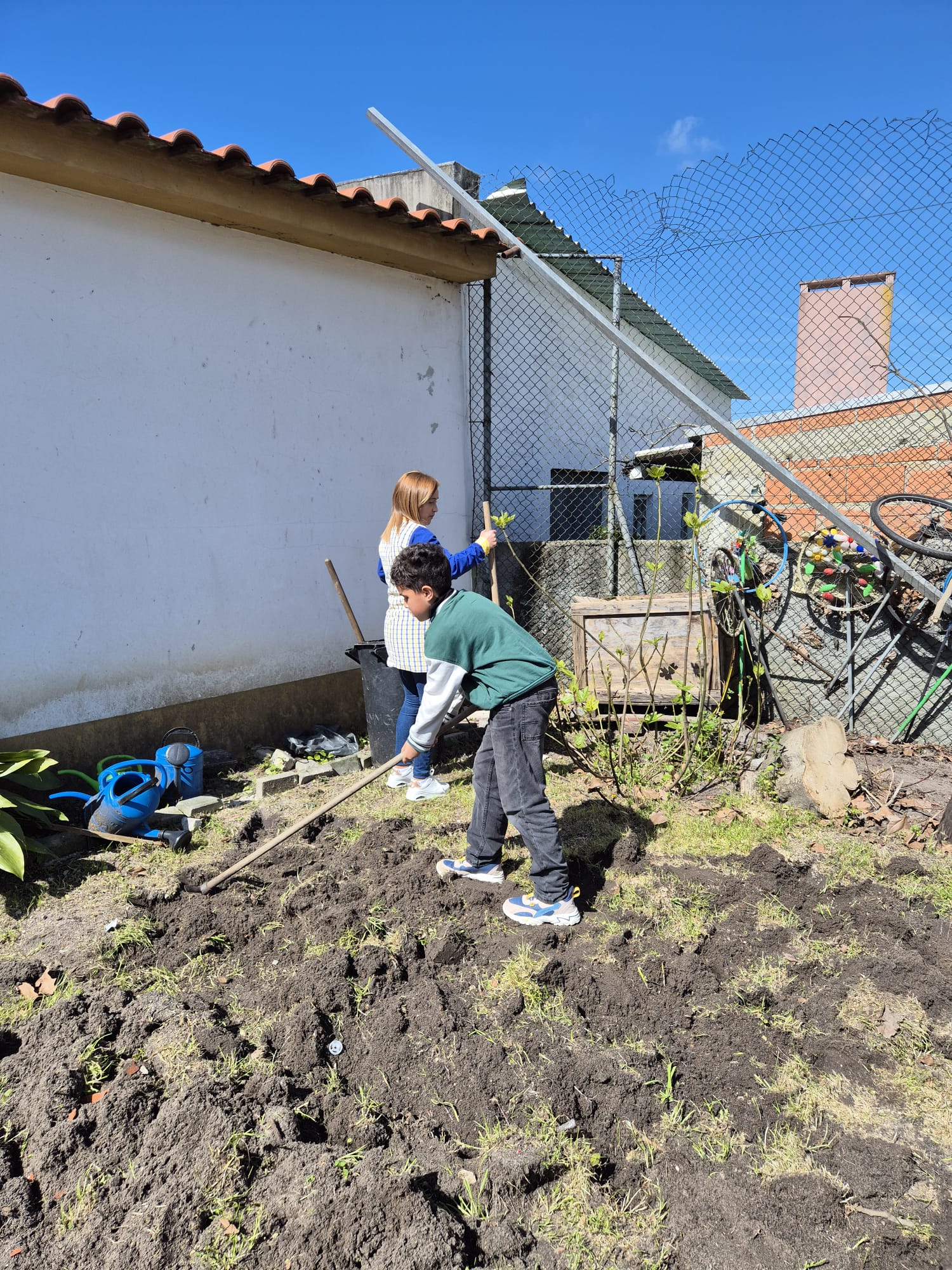 Limpeza da horta