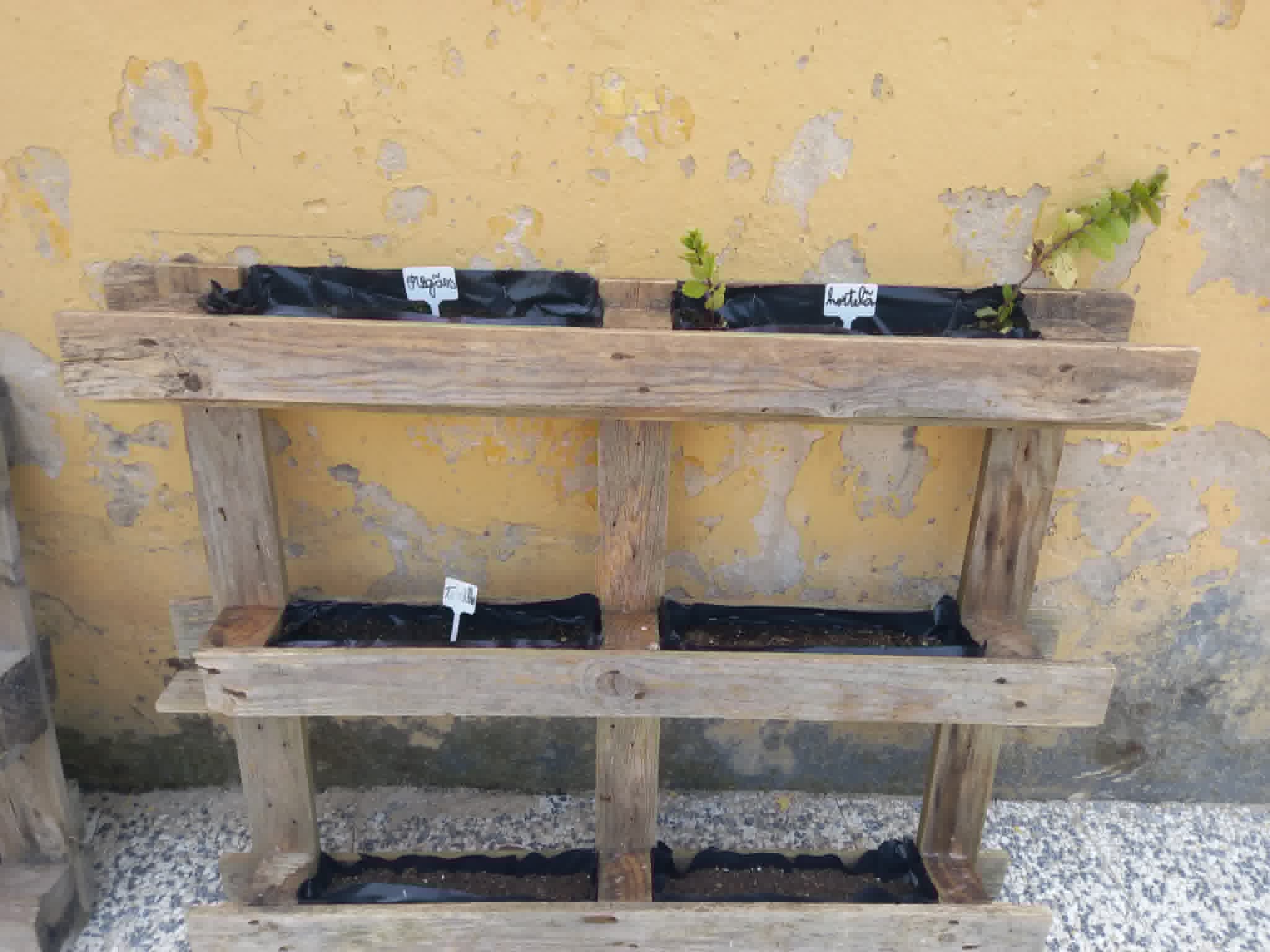 Este ano criámos uma horta vertical de aromáticas, onde semeámos, funcho, segurelha, coentros, salsa, oregãos, tomilho.