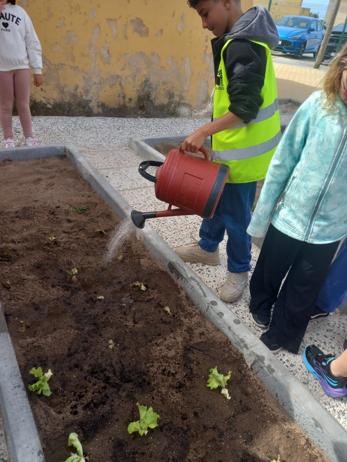No fim regámos tudo o que plantámos!