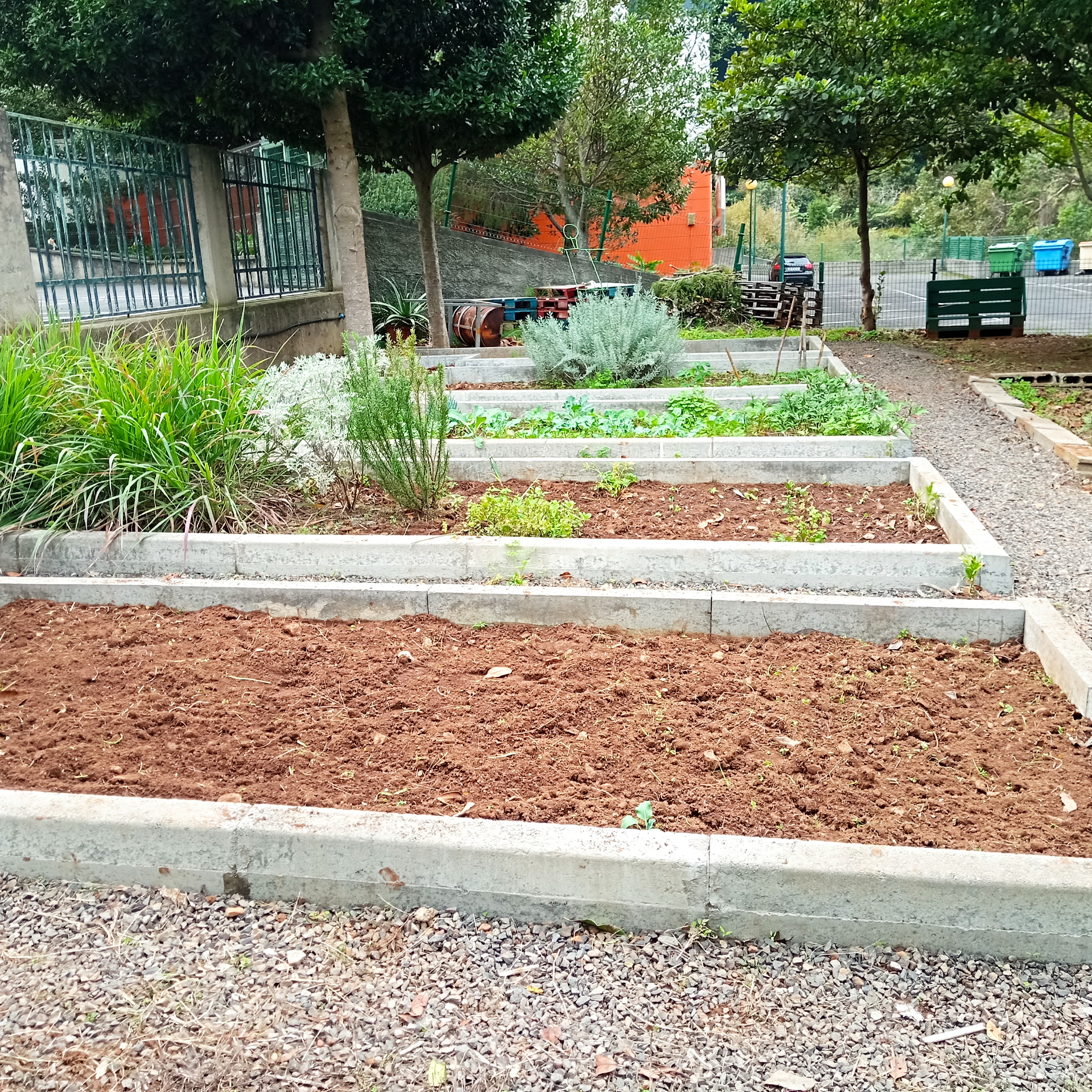 Vista geral da horta.