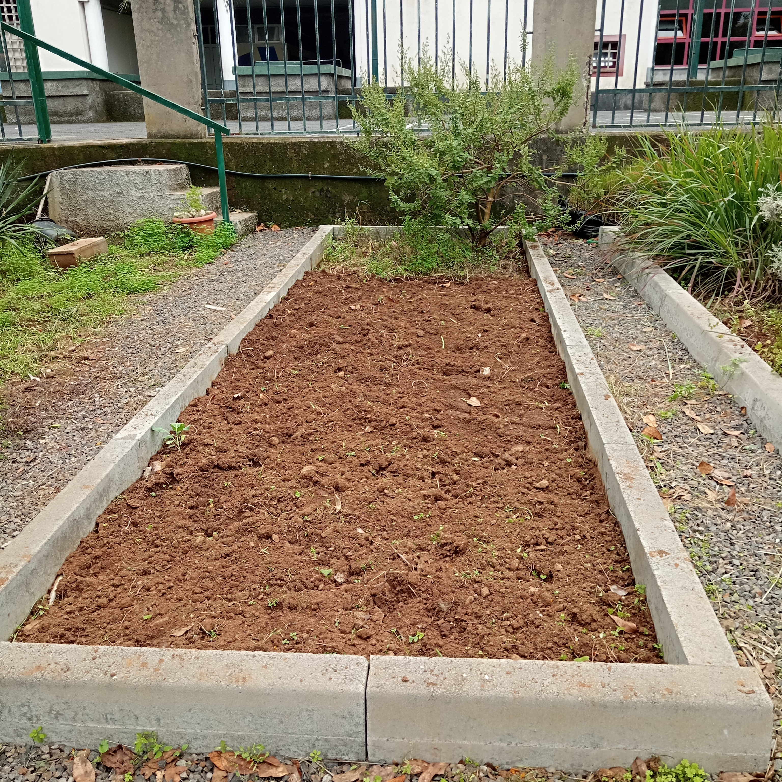 Vista específica de um canteiro.