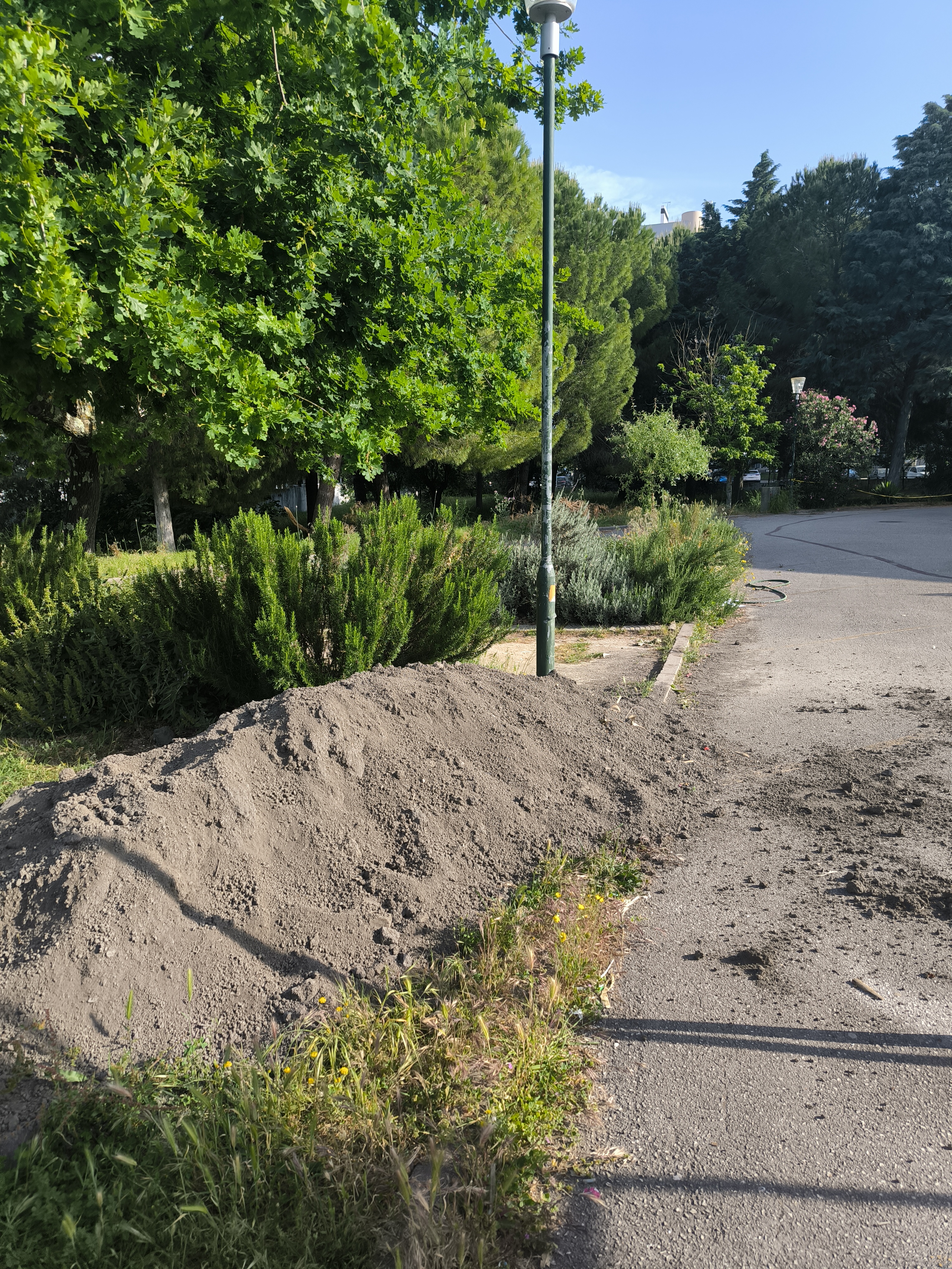 Trabalho na Horta bio - espalhar composto orgânico