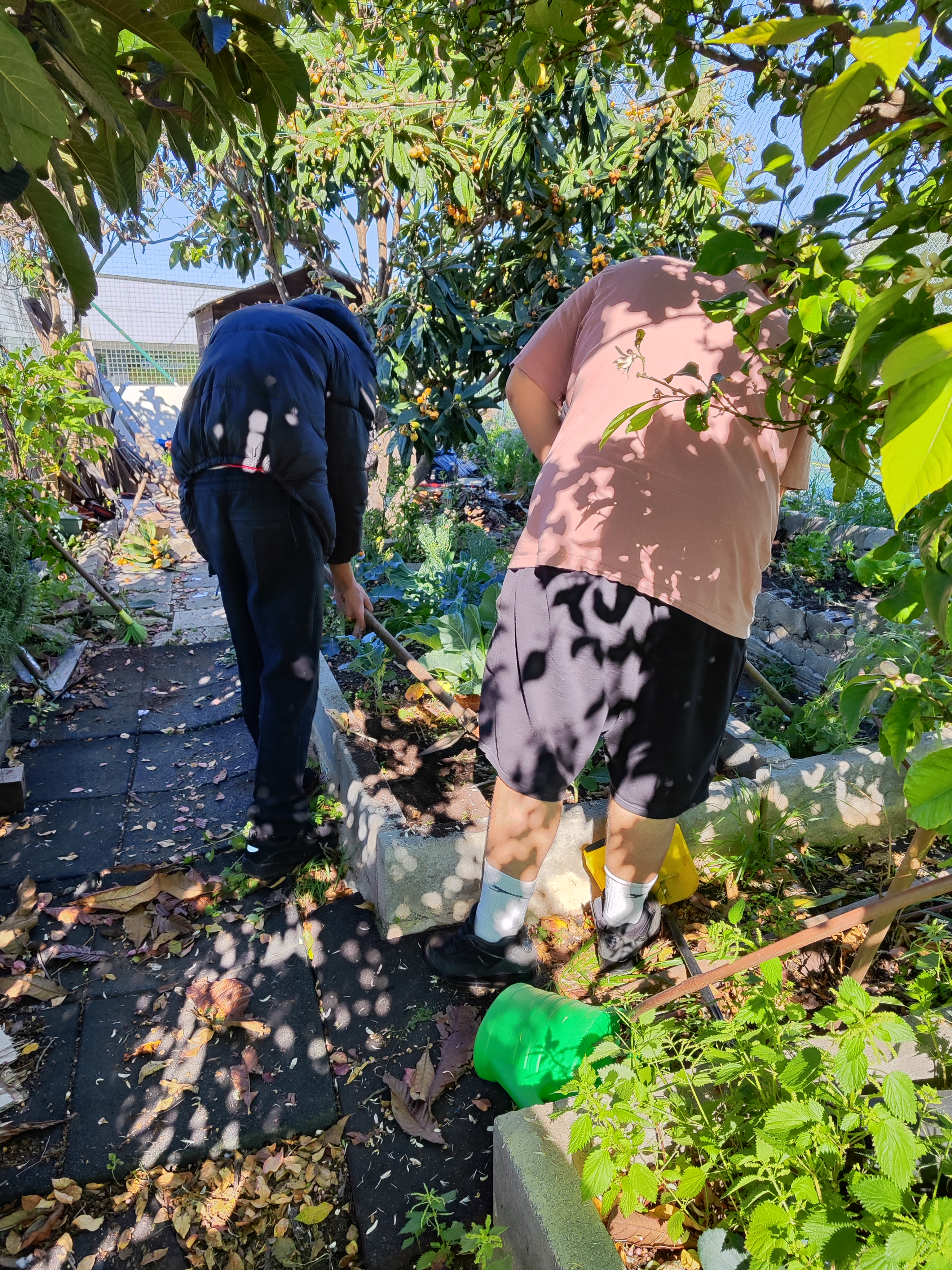 Alunos a trabalhar na horta