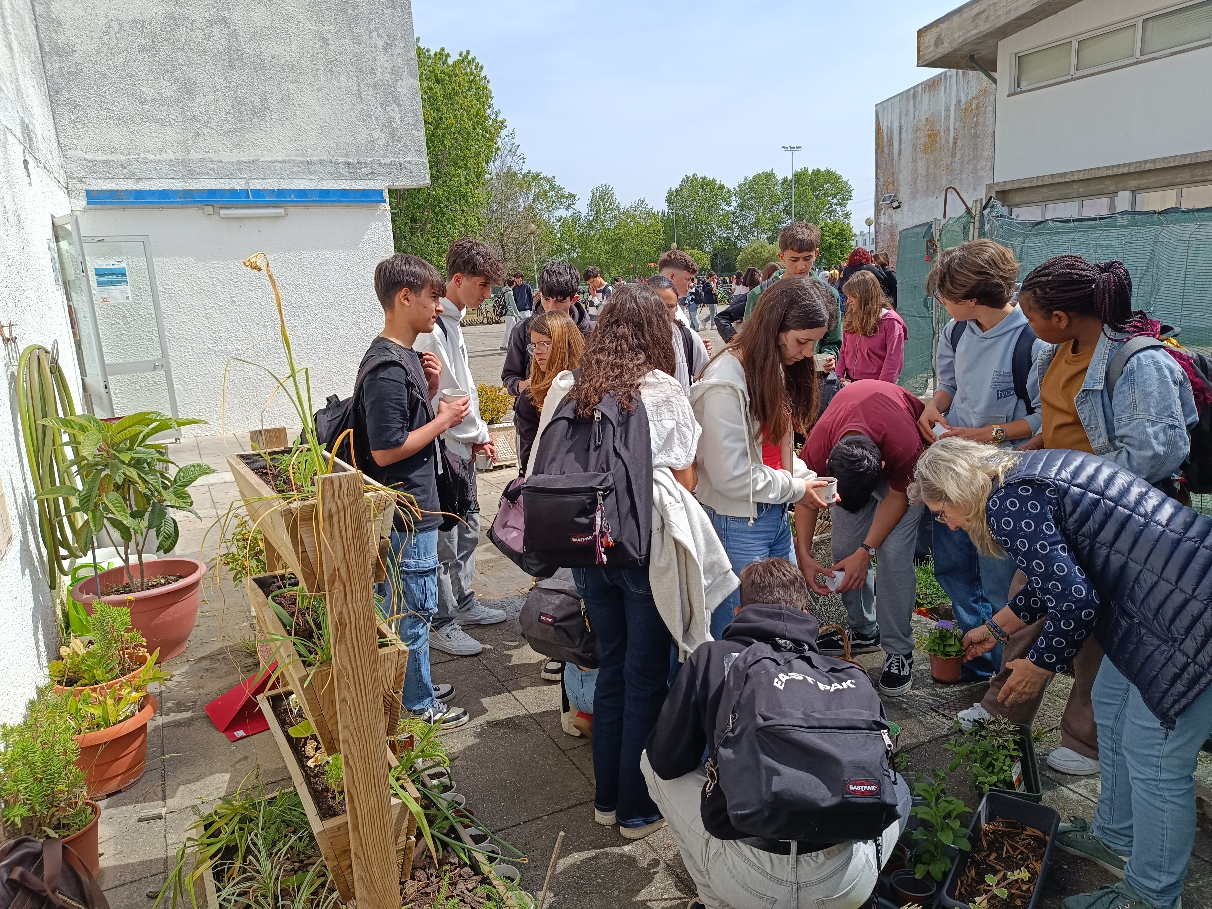 Atividades de semear e plantar - Dia Mundial da Terra ( abril )
Atividade muito participa por todos os elementos da comunidade escolar.