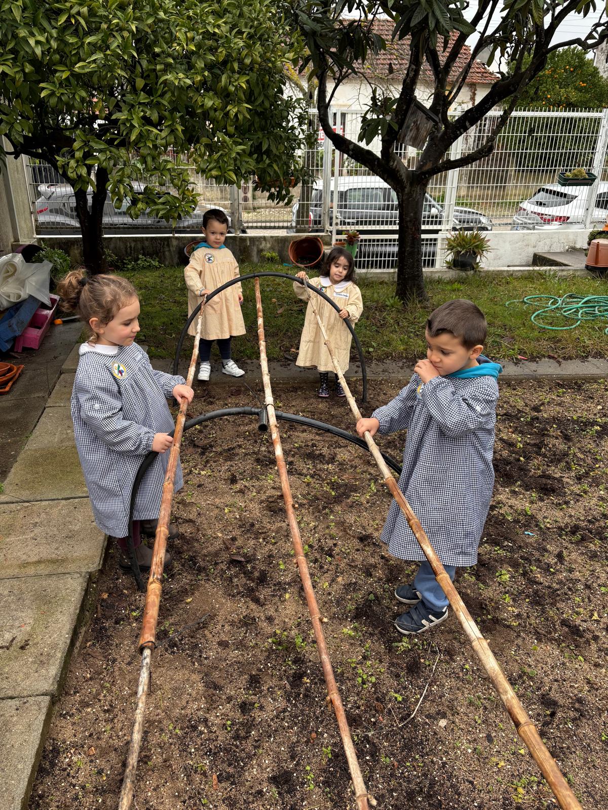 O grupo de crianças ajudou a colocar canas da índia na horta para construir uma pequena estufa.