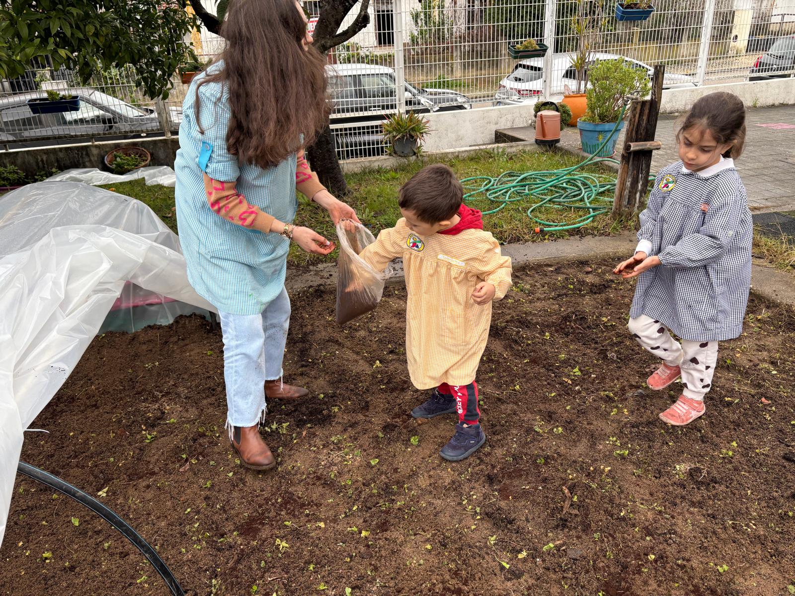Colocação de borras de café na terra para fertilizar e afastar possíveis pragas de insetos.