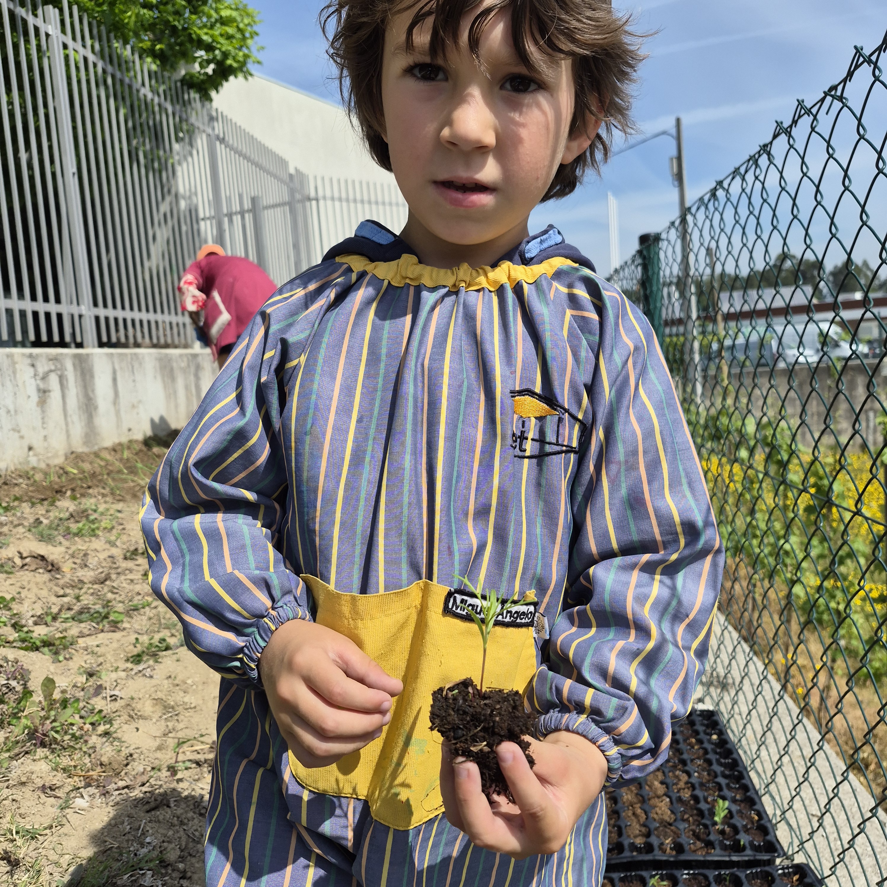 Da semente à planta. Os tomateiros apresentam agora raízes mais desenvolvidas, ótimas para iniciarem o seu transplante e continuarem a desenvolver no espaço exterior.