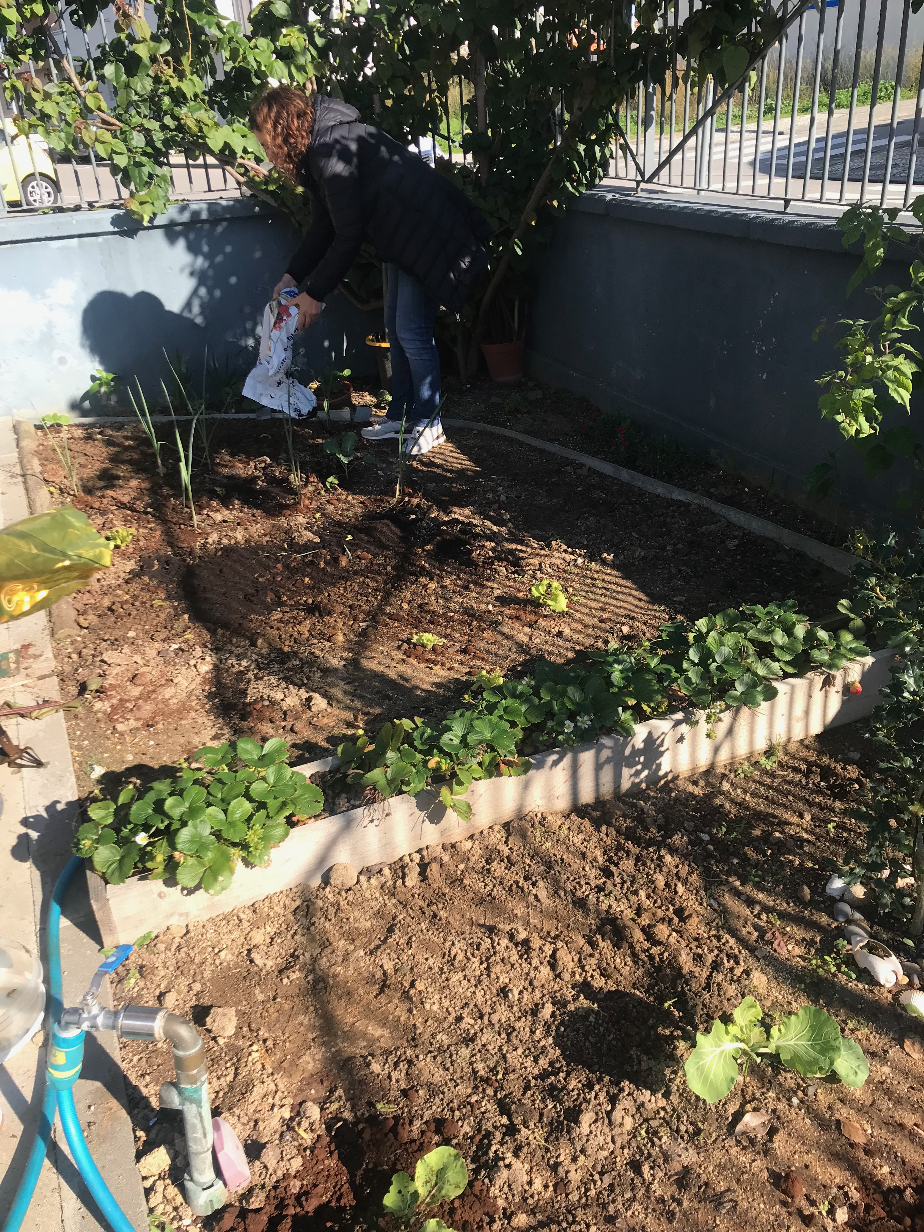 Compostagem para fertilizar o solo.