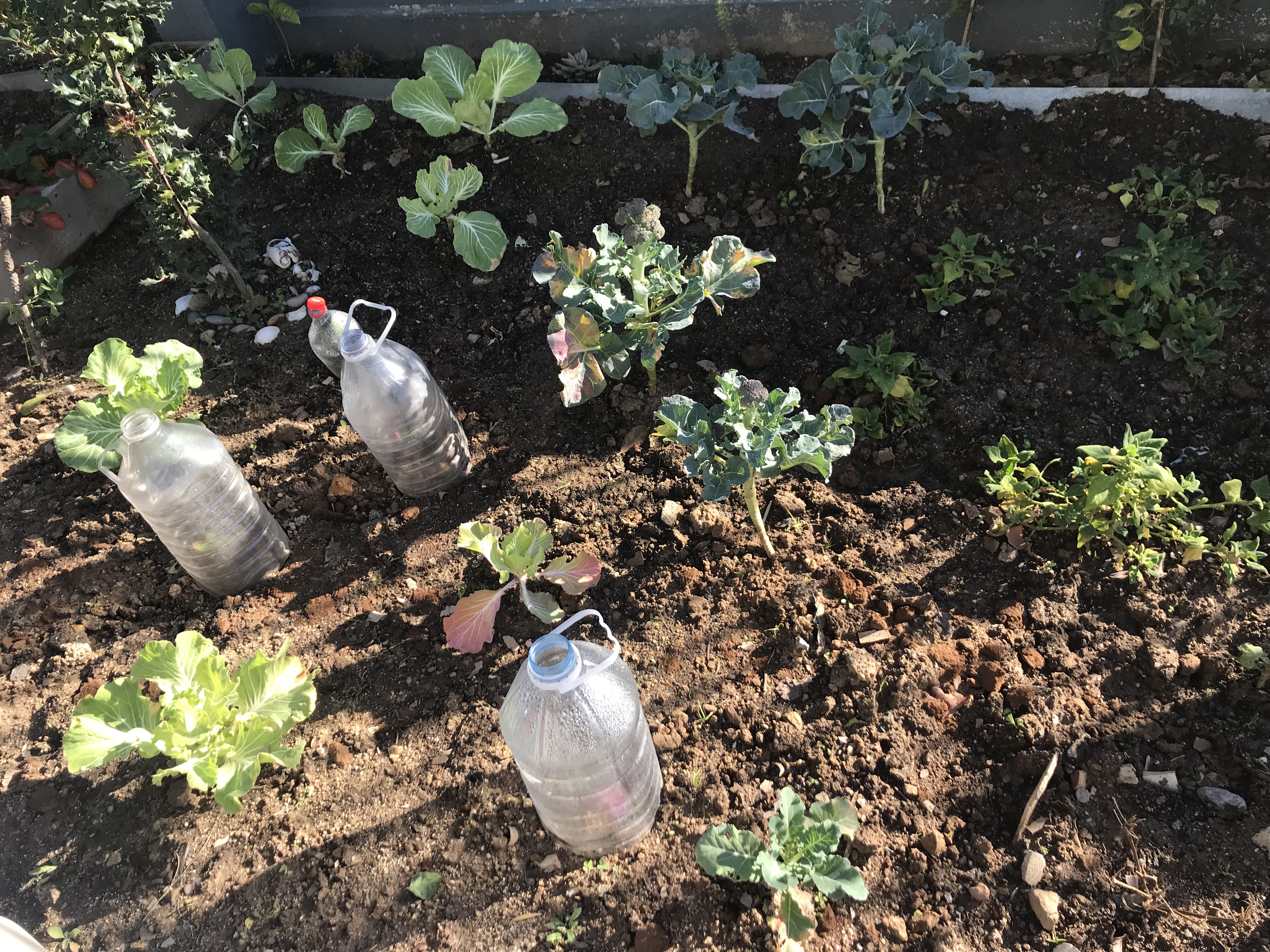 Reutilizar para proteger e ajudar a desenvolver.