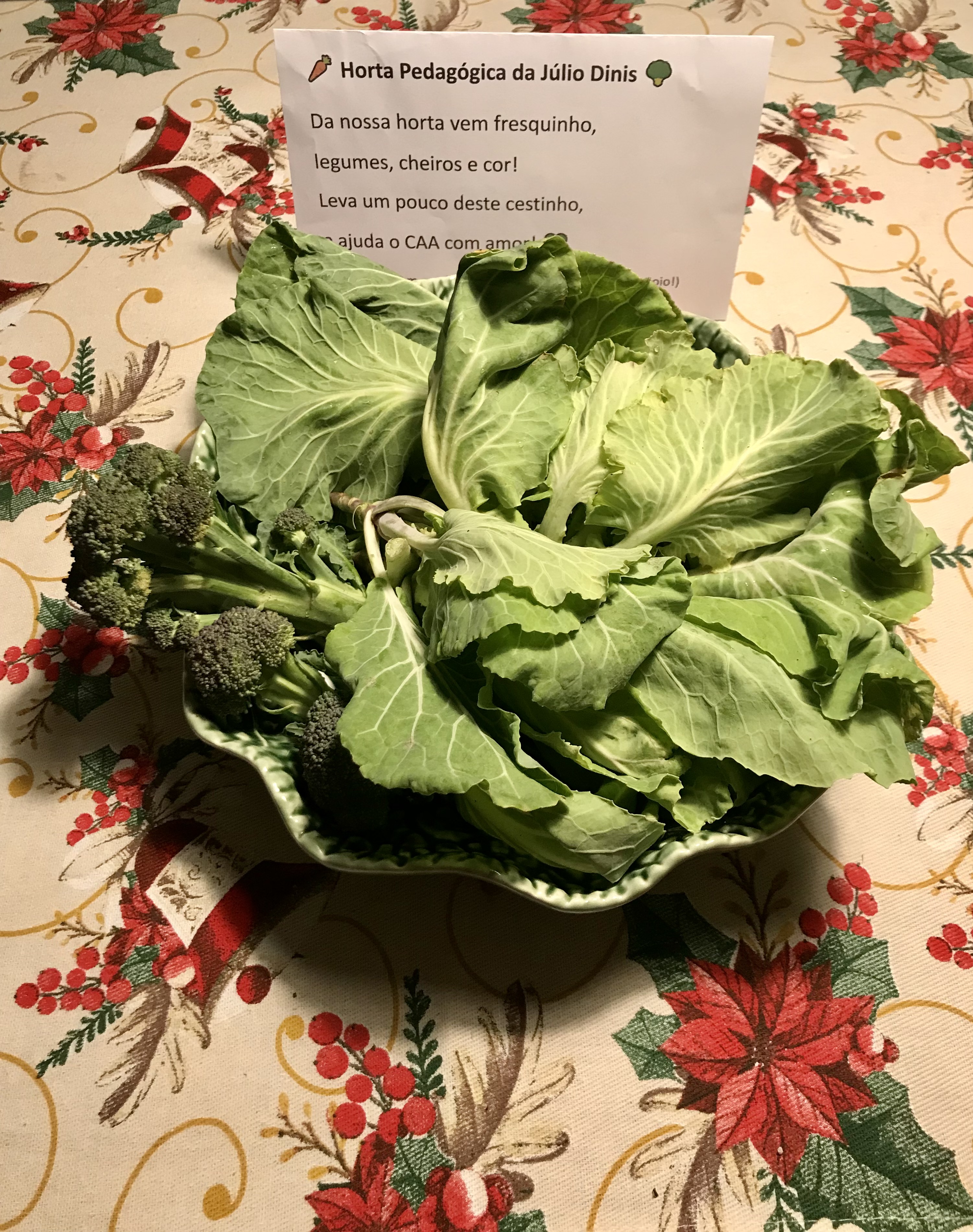 Produtos colhidos da horta.