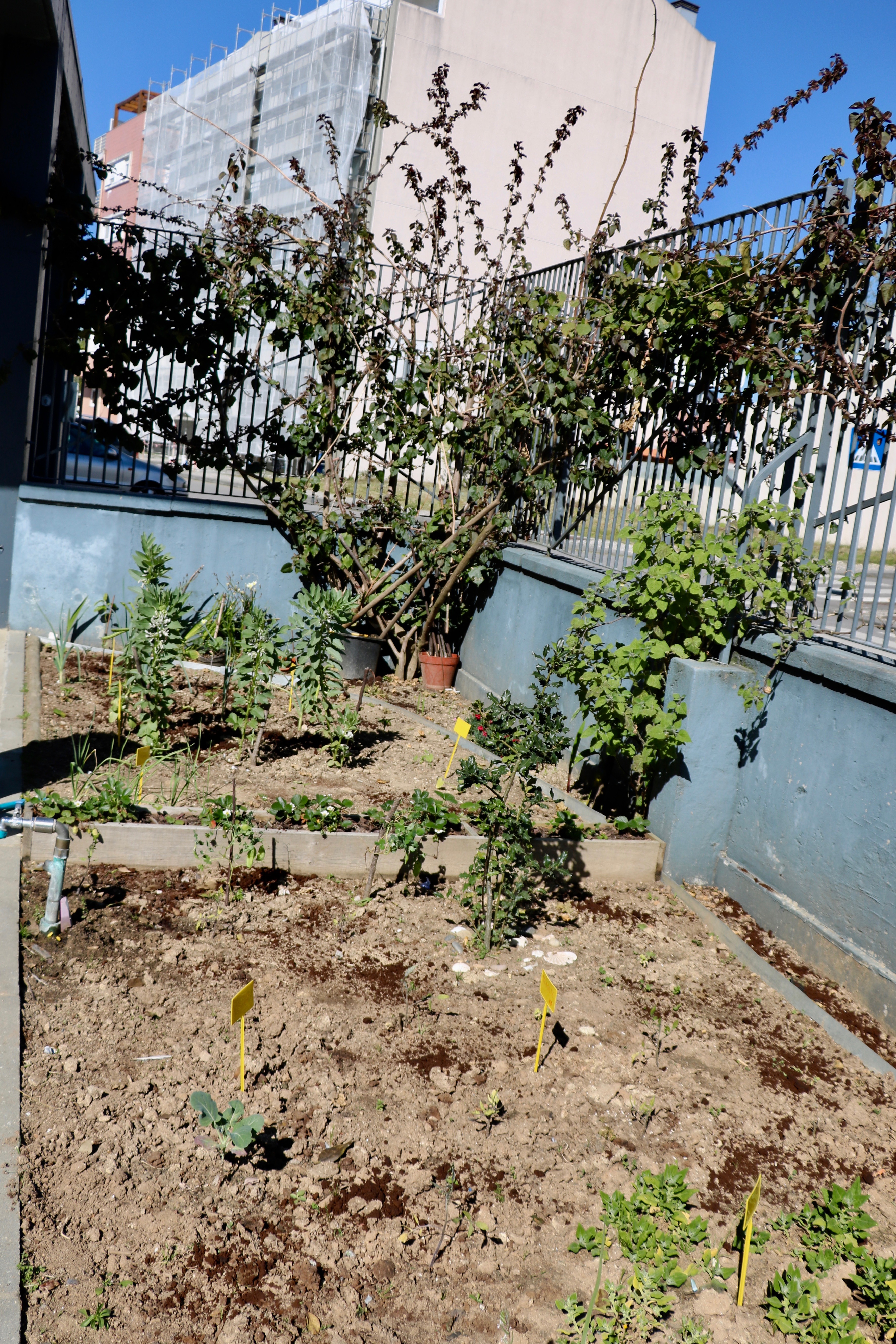 Vista parcial da horta que se encontra na proximidade do Canteiro de Primavera - importante fonte de polinizadores da horta.