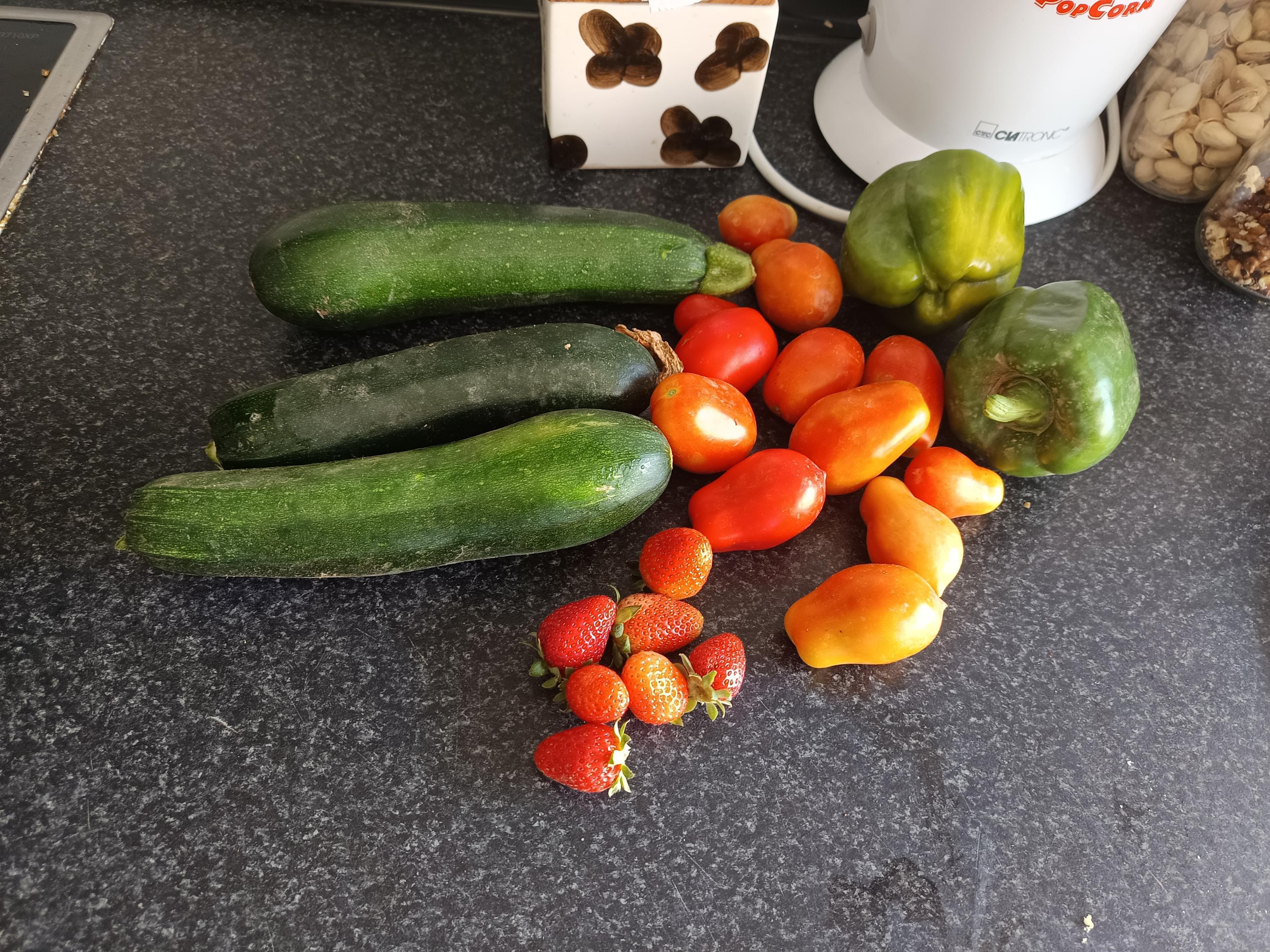 Colheita da horta - legumes para a confeção de pratos pelo curso profissional Técnico de Cozinha e Restauração.