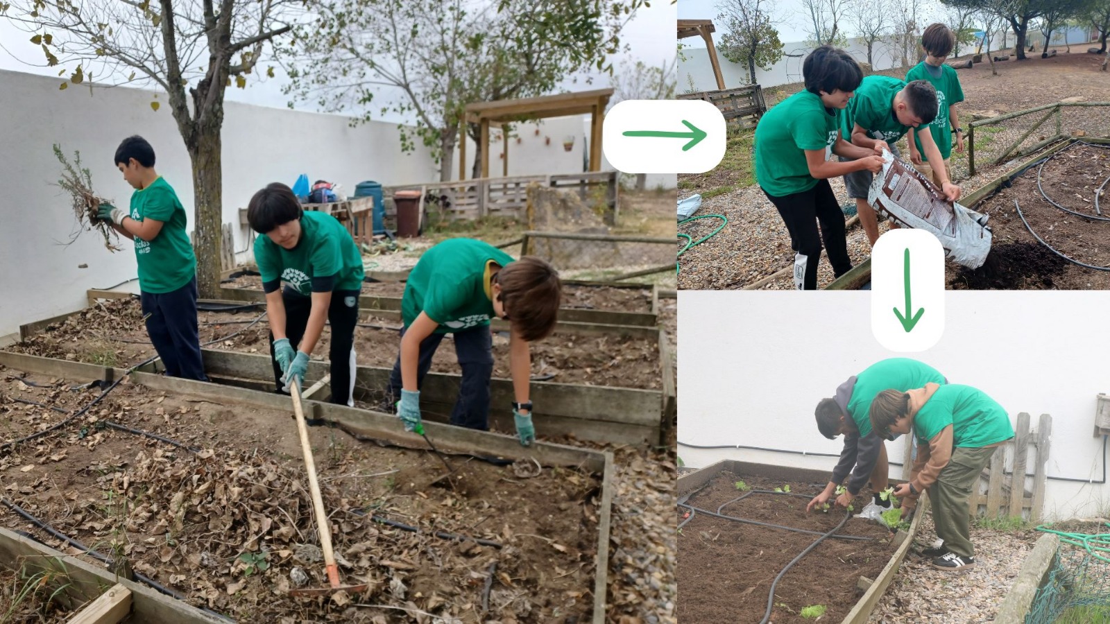 1 Limpeza da horta e preparação das terras