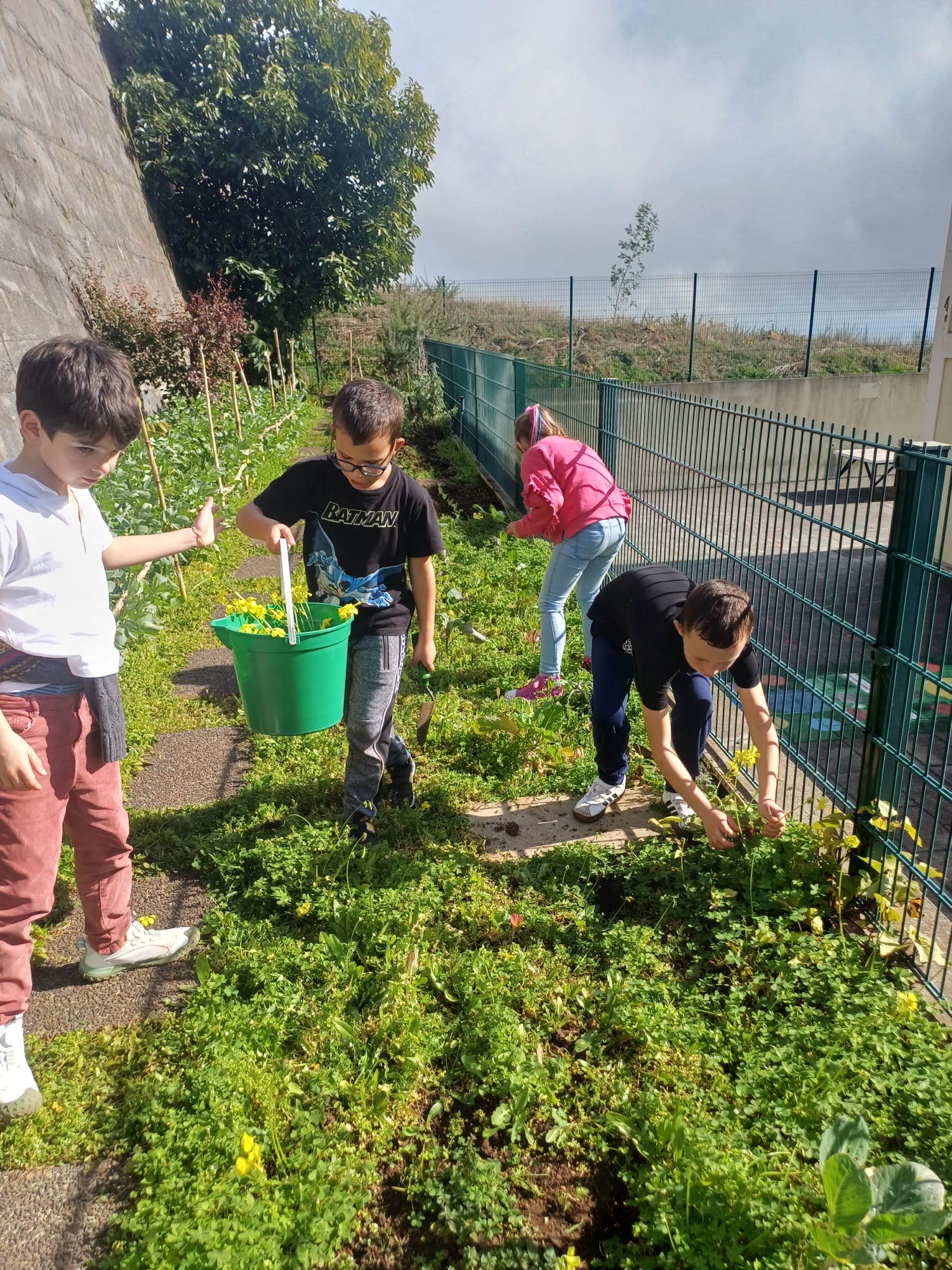 Manutenção da horta pelos alunos do 3ºano.