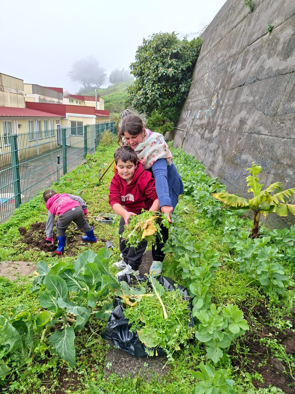 Manutenção da horta por alunos da Educação Especial.