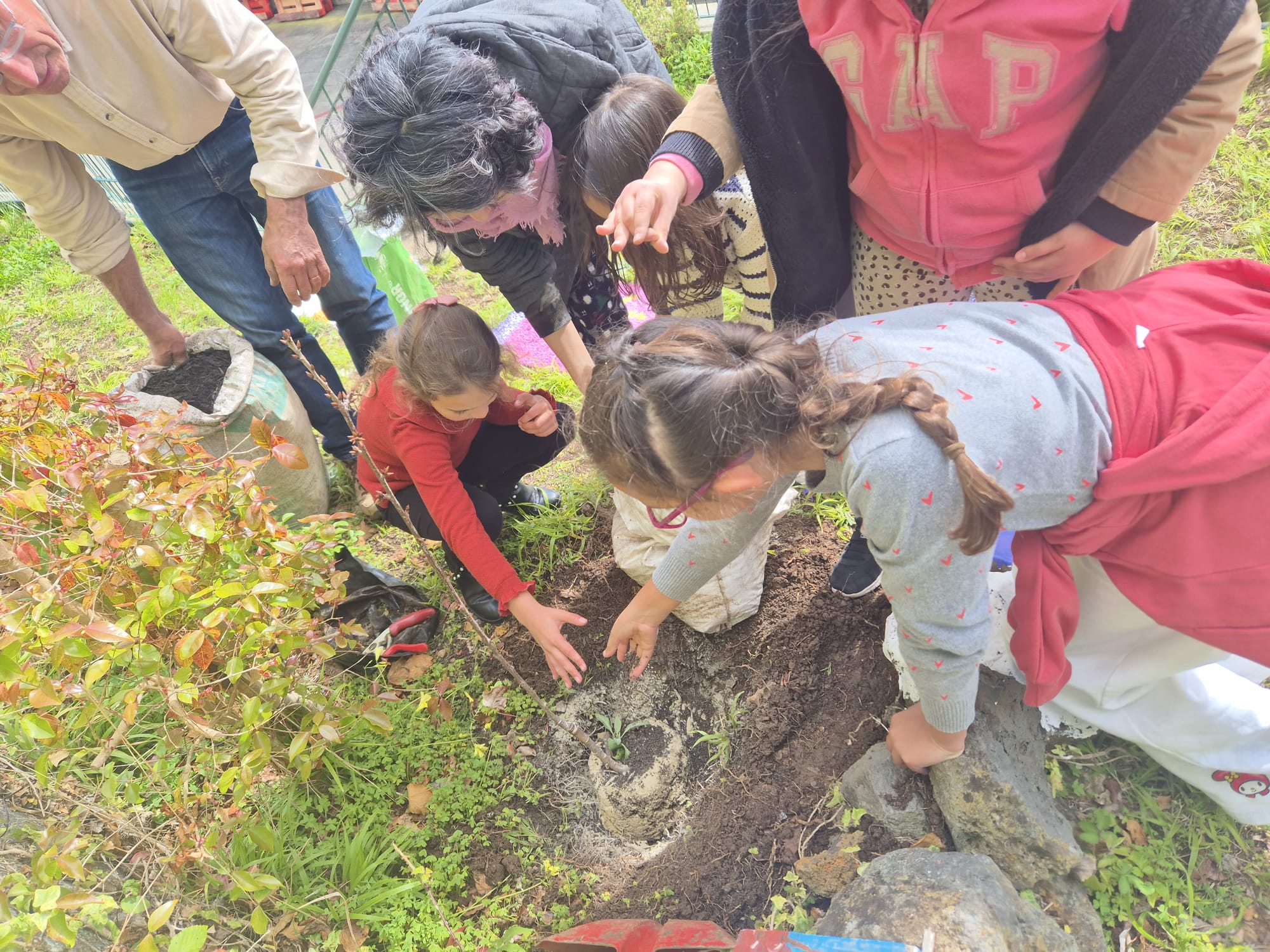 Plantação de um cerejeira.
Em parceria com a Quinta Leonor CDSIA e uma convidada de origem japonesa, foi plantada uma cerejeira de flor na nossa horta.