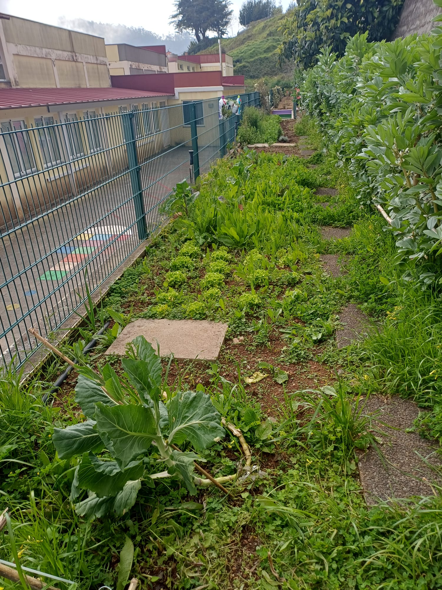 Visão geral de alguns produtos agrícolas da nossa horta