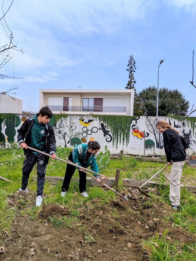 Escola Básica de Palmeira- plantações realizadas pelos alunos da Educação Especial