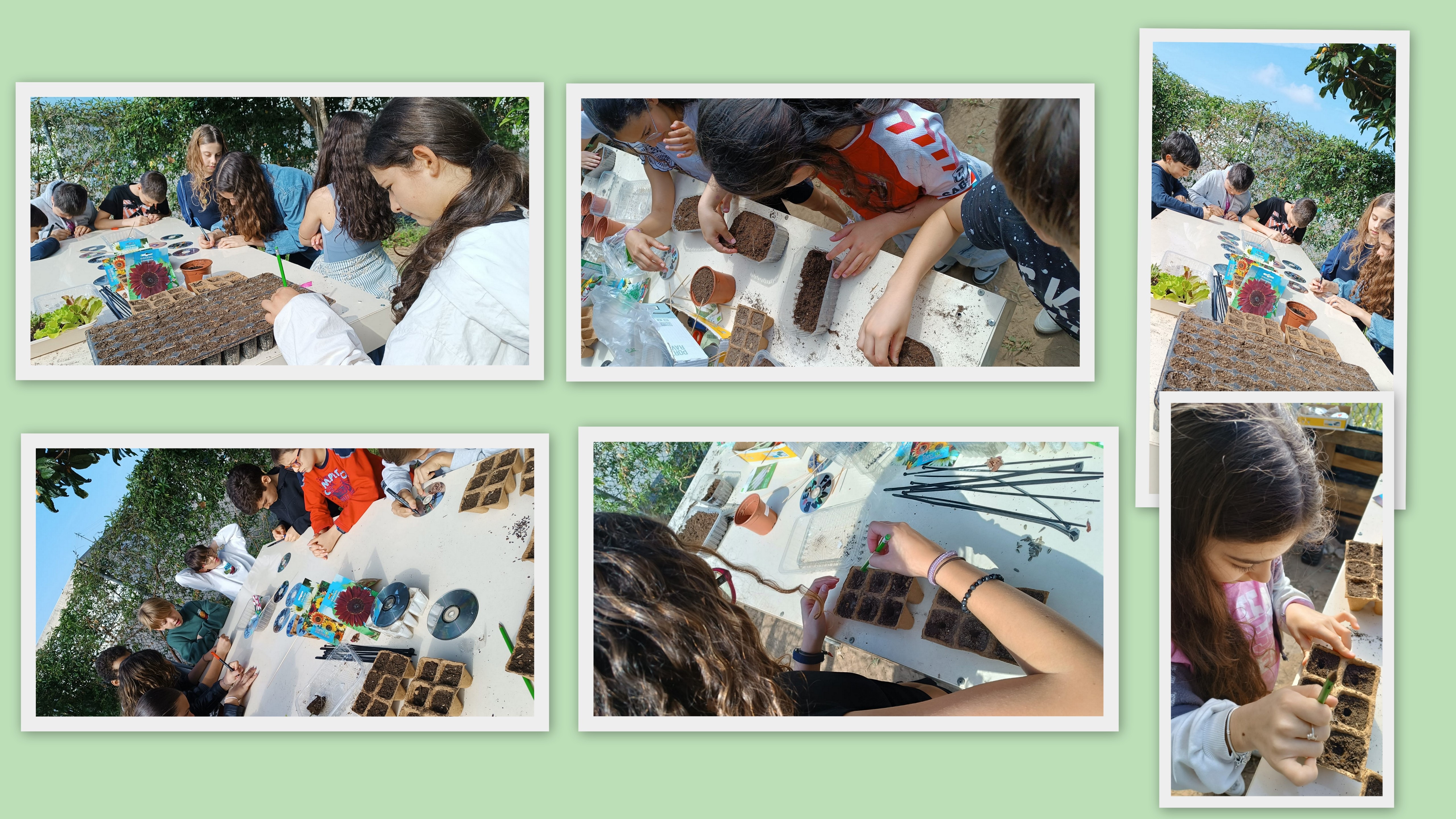 Escola Básica de Palmeira- Workshop na horta vertical (Dia Eco-Escolas e do Agrupamento), envolvendo várias turmas de 5º e 6º anos