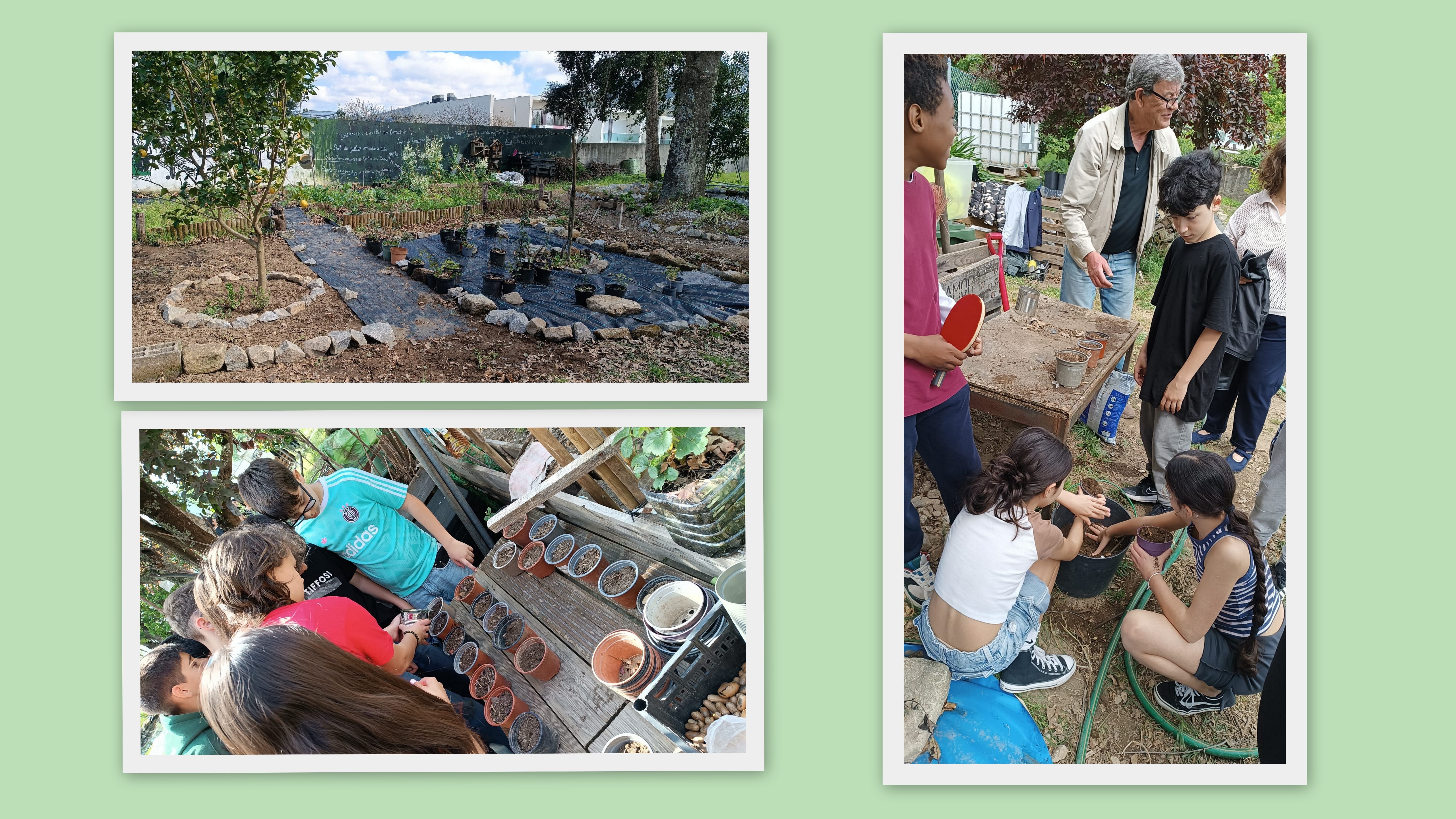 Escola Básica de Palmeira- Workshop sobre sementeiras para o viveiro de plantas, que contou com a presença da Associação Alva