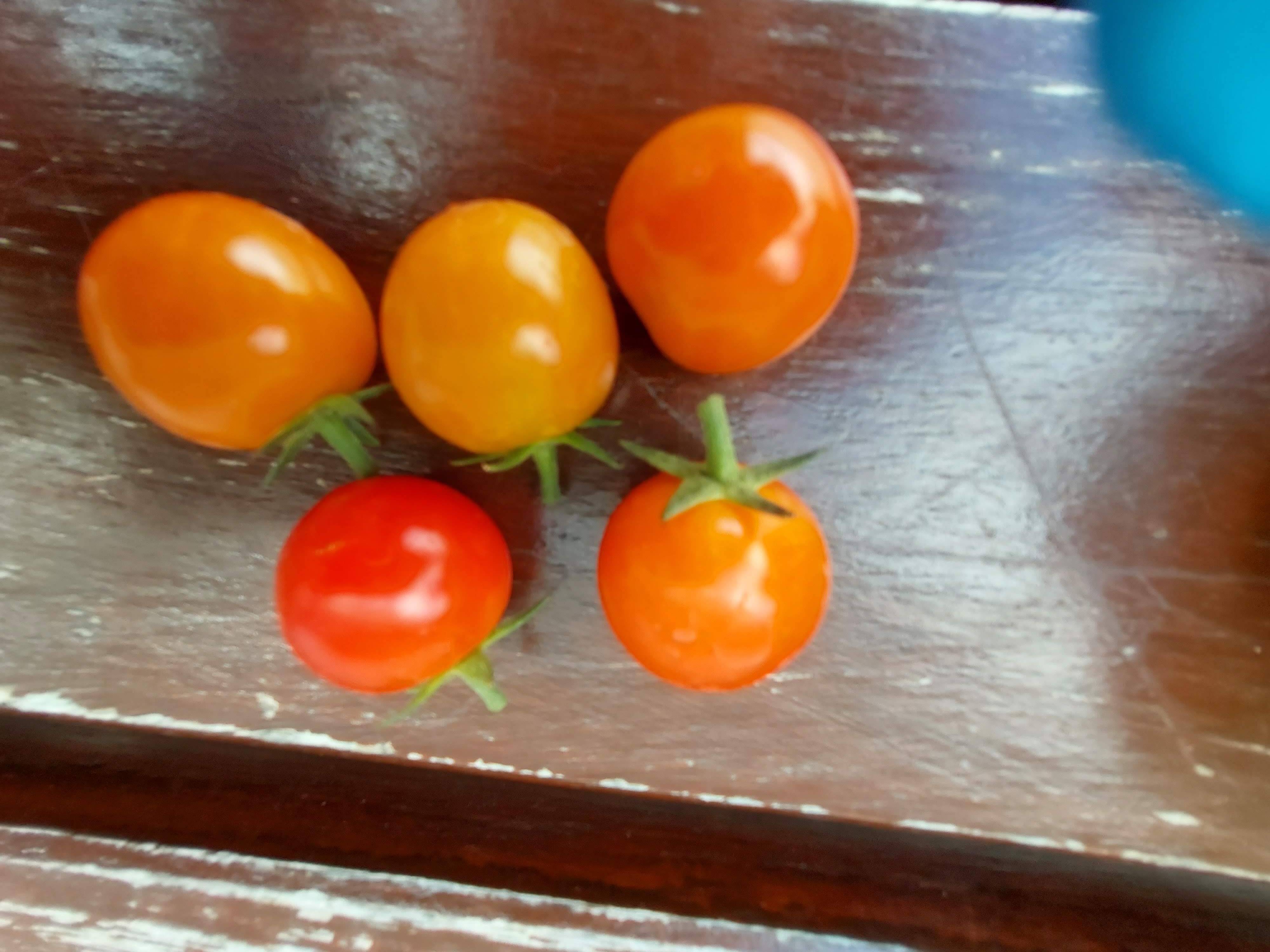 Tomates.