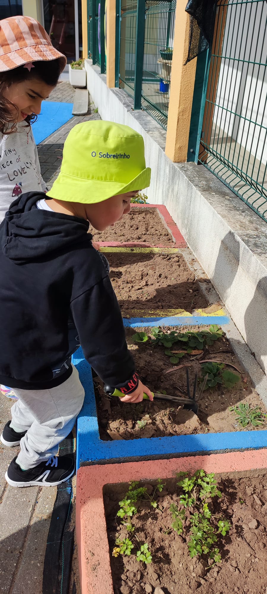 Preparação da horta e da terra.