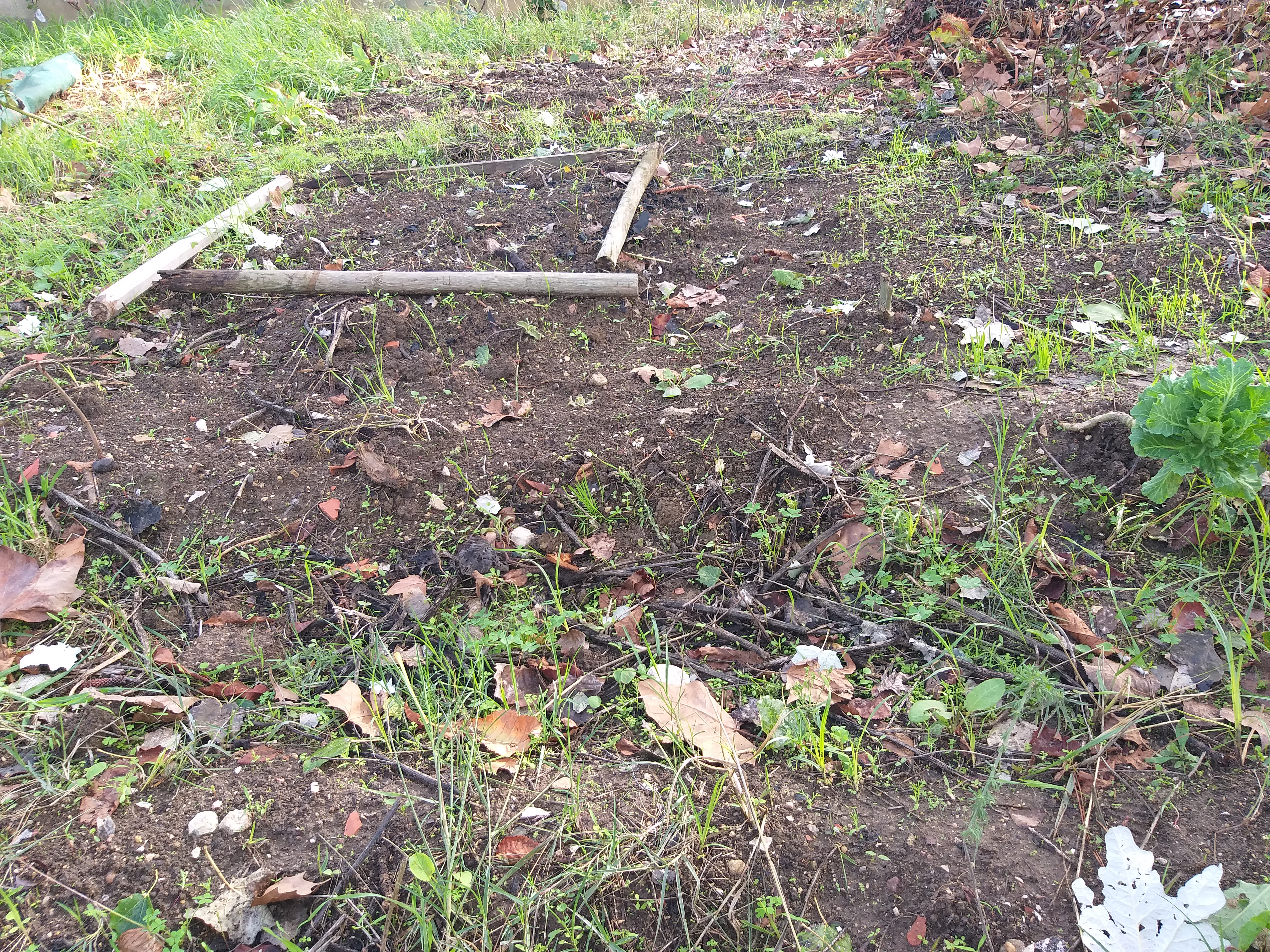 Localização do espaço de cultivo.