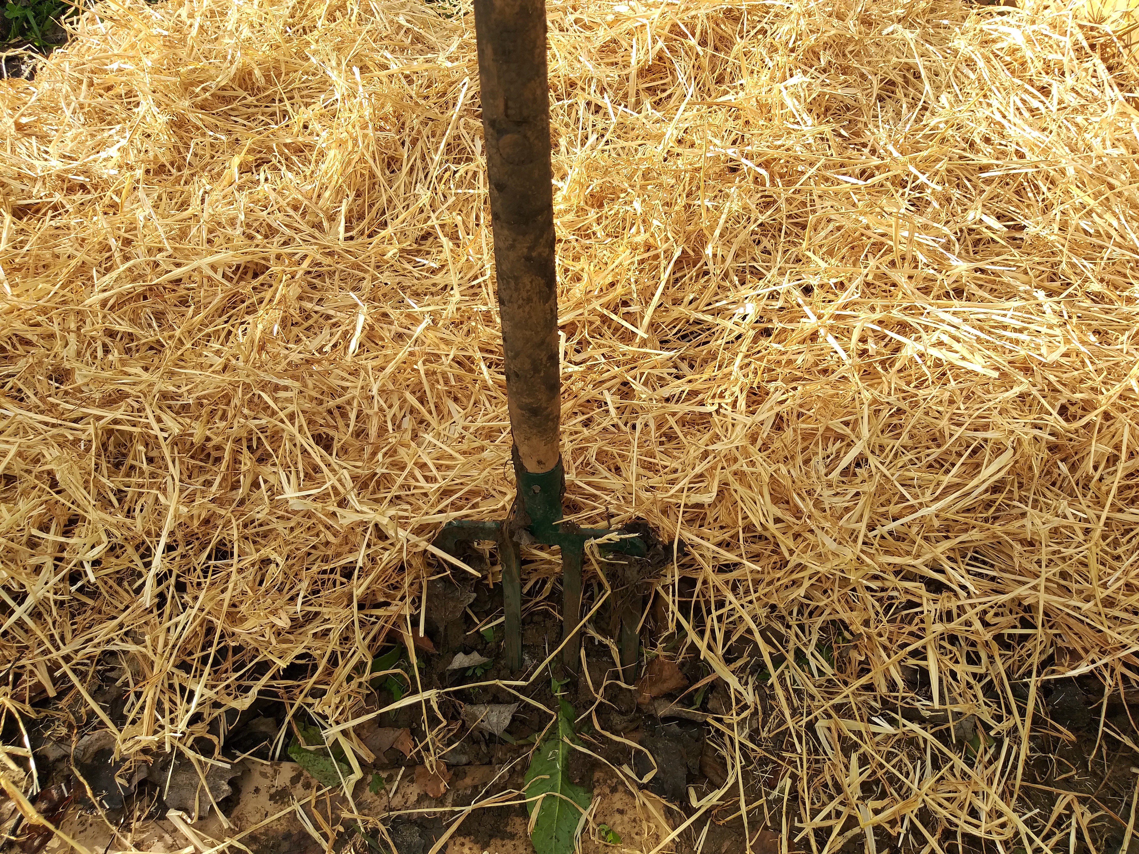 Continuação da preparação da terra por arejamento e com cobertura de solo.
