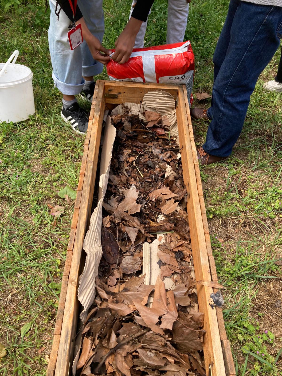 Continuou-se a preparar as caixas de cultivo para plantação de alface, cebola e flores.