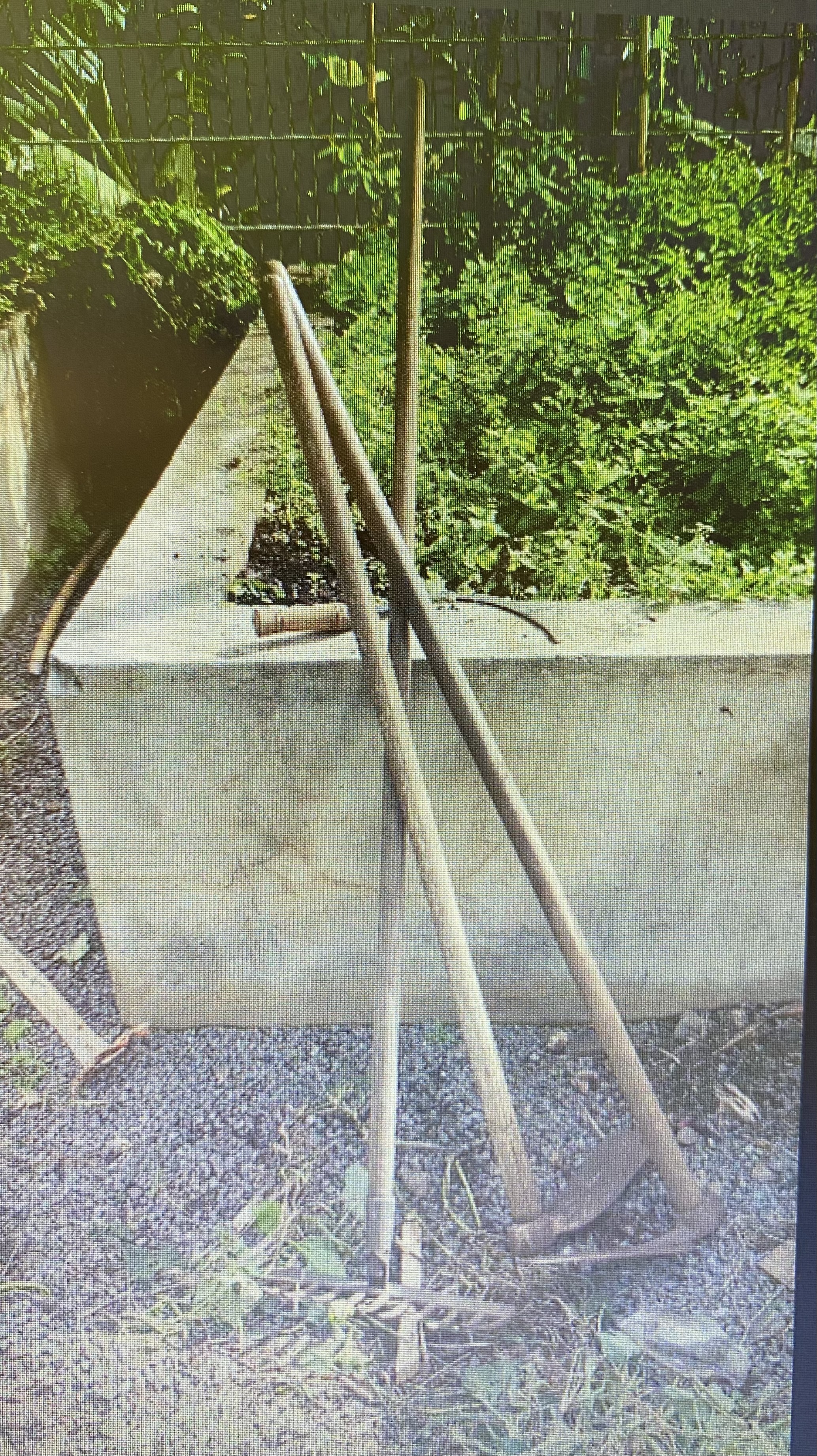 Ferramentas e horta biológica