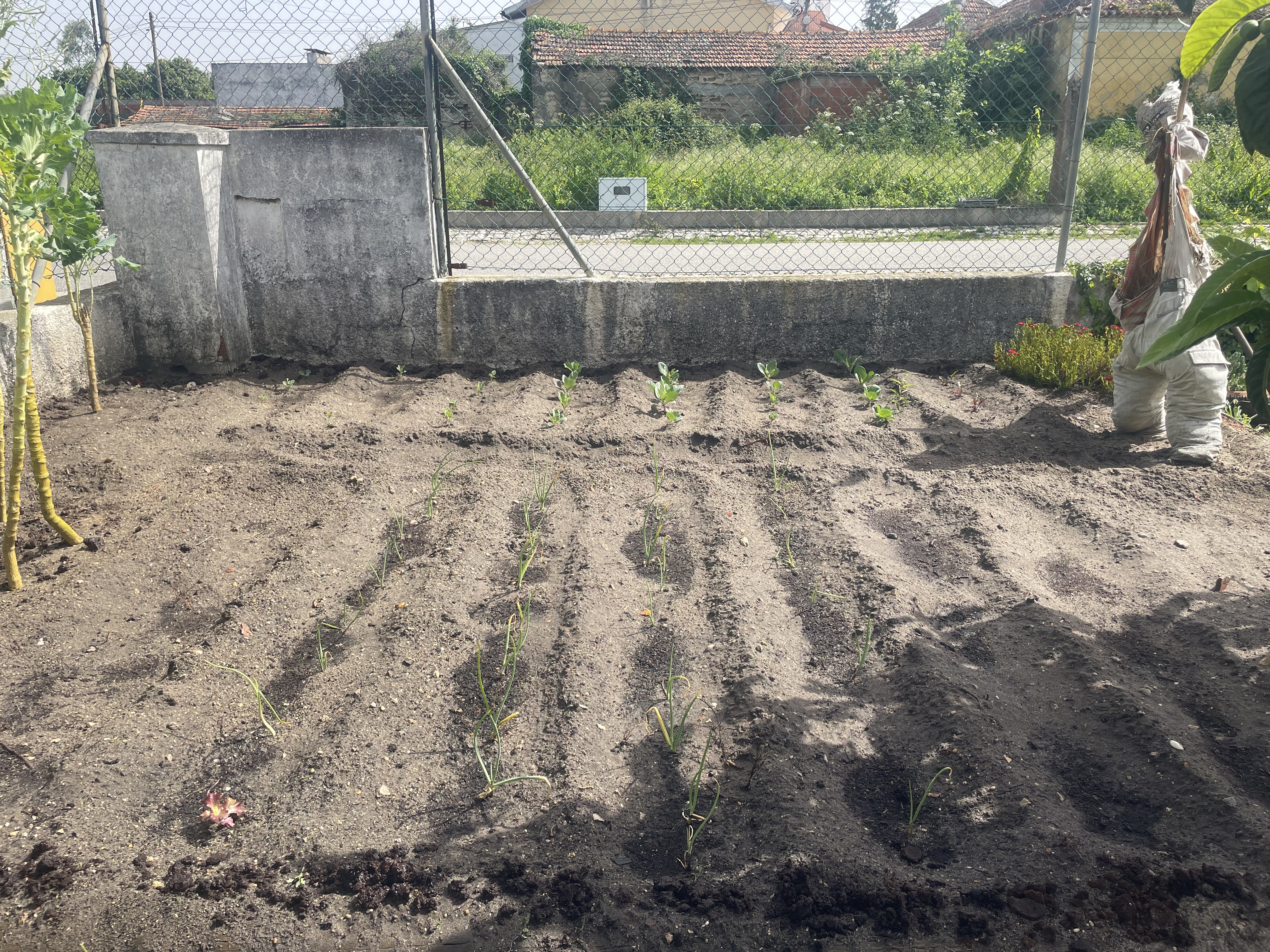 A nossa horta