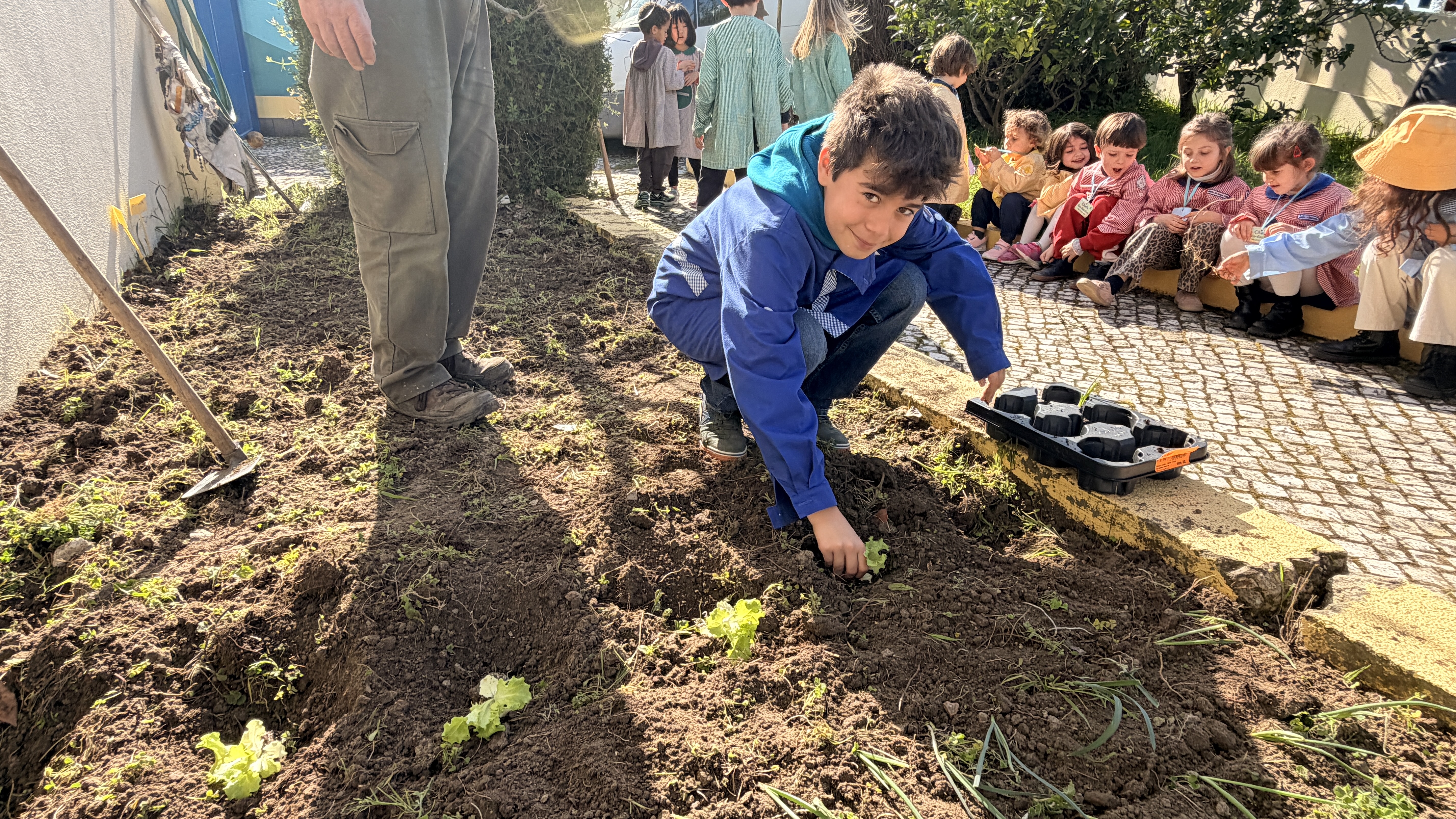 Vamos plantar alfaces.