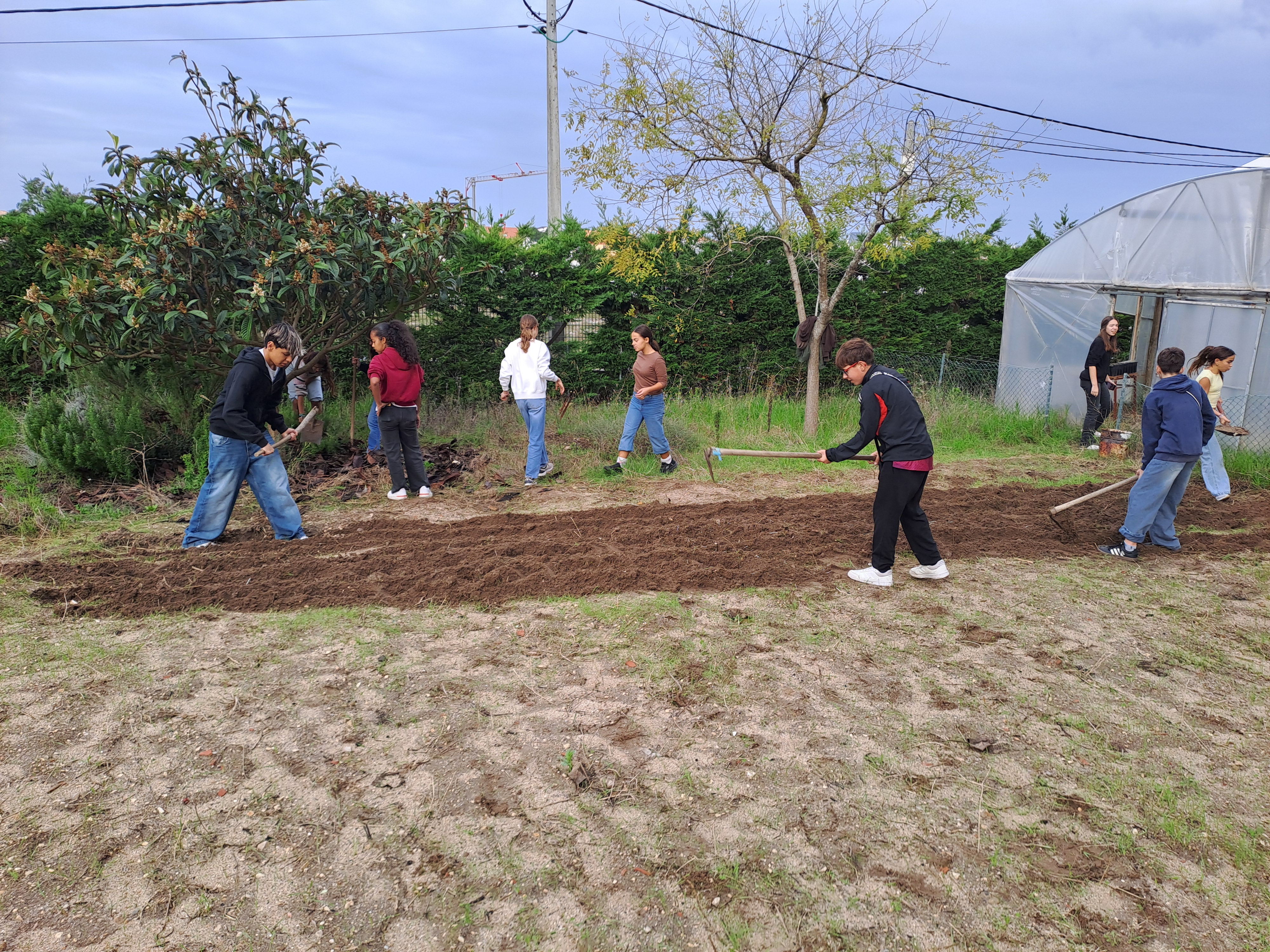 Colocação do adubo na terra