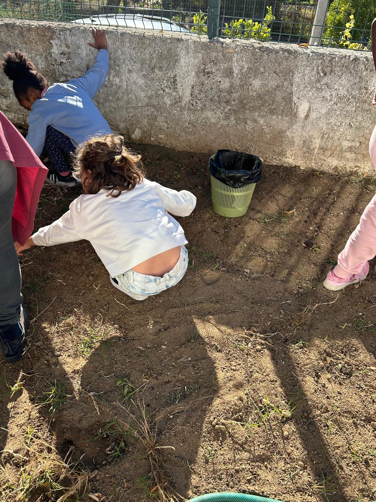 Inicio das nossas plantações no mês de setembro